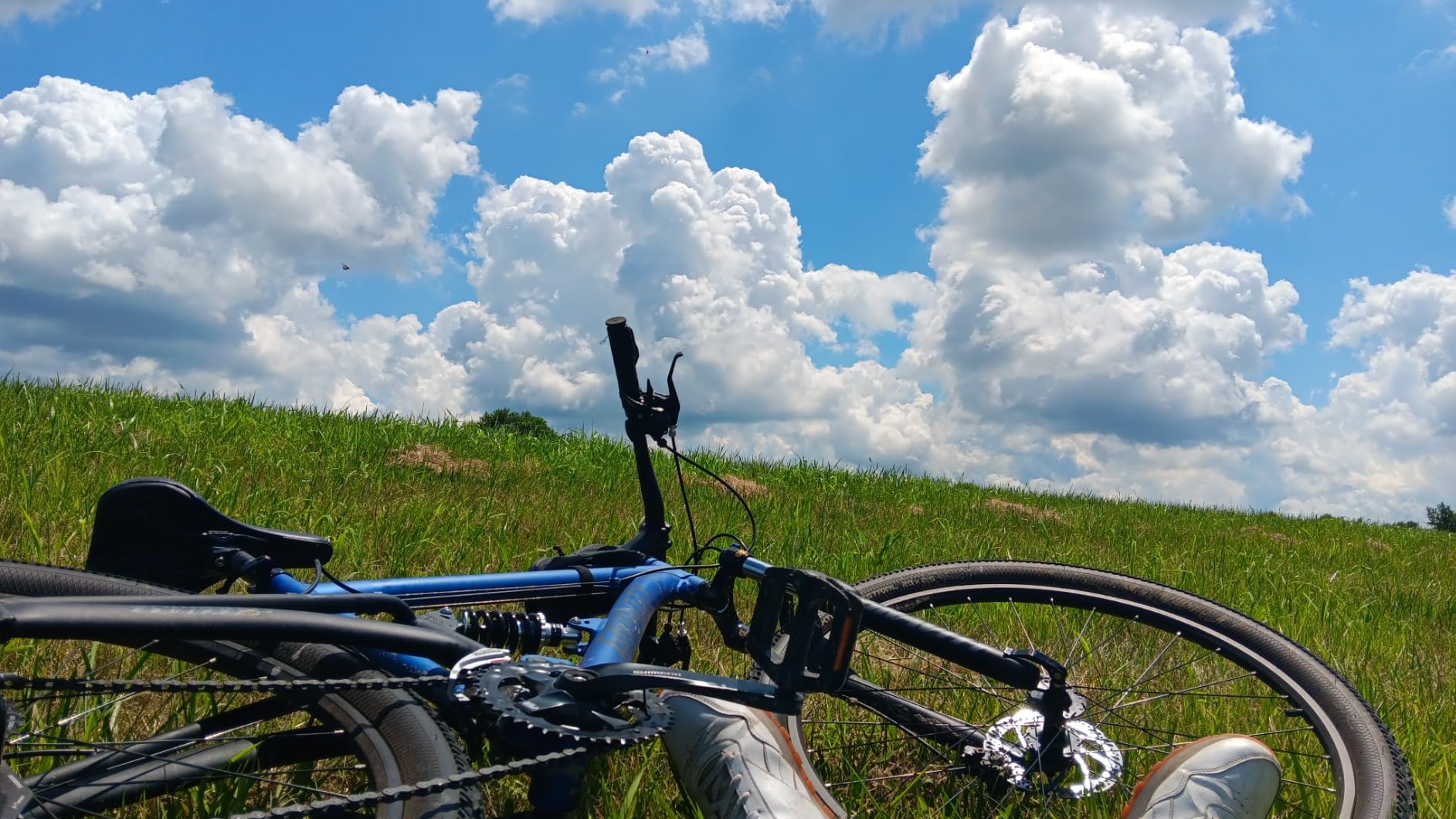 2025 Gravity FSX 29 LTD Dual Suspension 21 Speed Mountain Bike customer photo 1