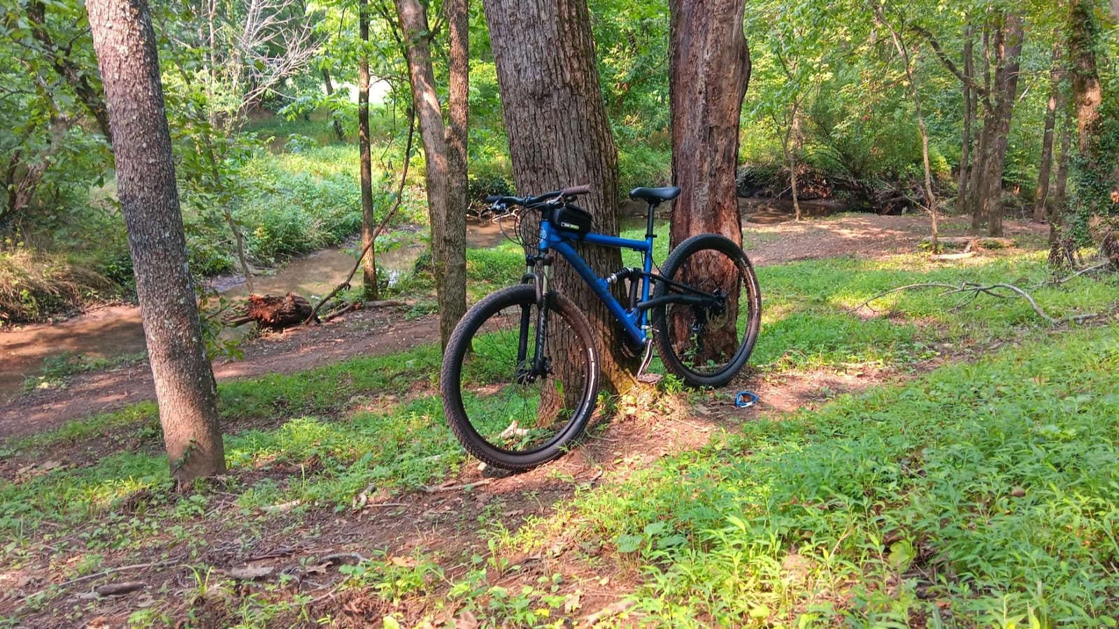 2025 Gravity FSX 29 LTD Dual Suspension 21 Speed Mountain Bike customer photo 2