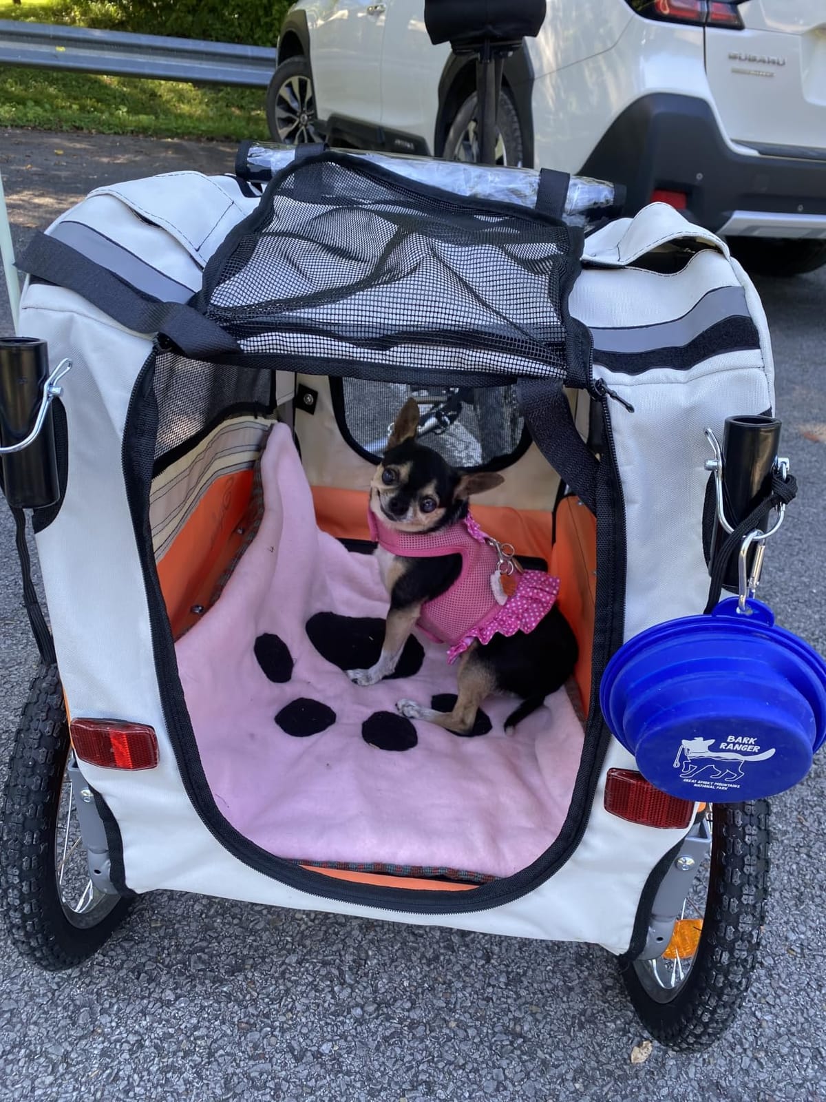 Sepnine 2 in 1 Pet Bicycle Trailer with a 6