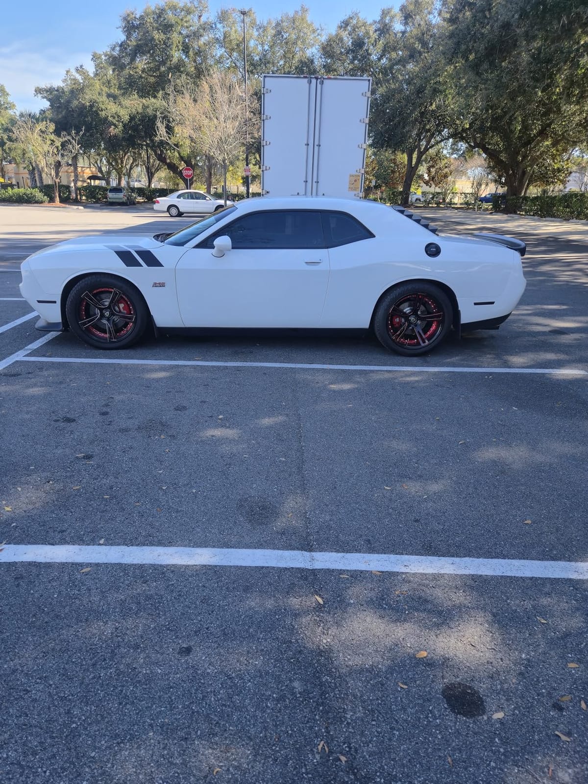 Continental ExtremeContact DWS06 PLUS UHP All Season 245/35ZR19 93Y XL Passenger Tire customer photo 2