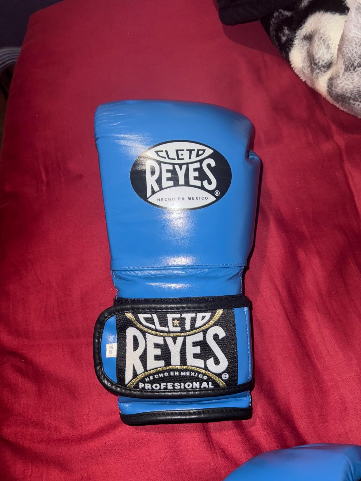 CLETO REYES Training Boxing Gloves with Hook and Loop Closure for Sparring and Heavy Punching Bags, Men and Women, MMA, Kickboxing, Muay Thai customer photo 2