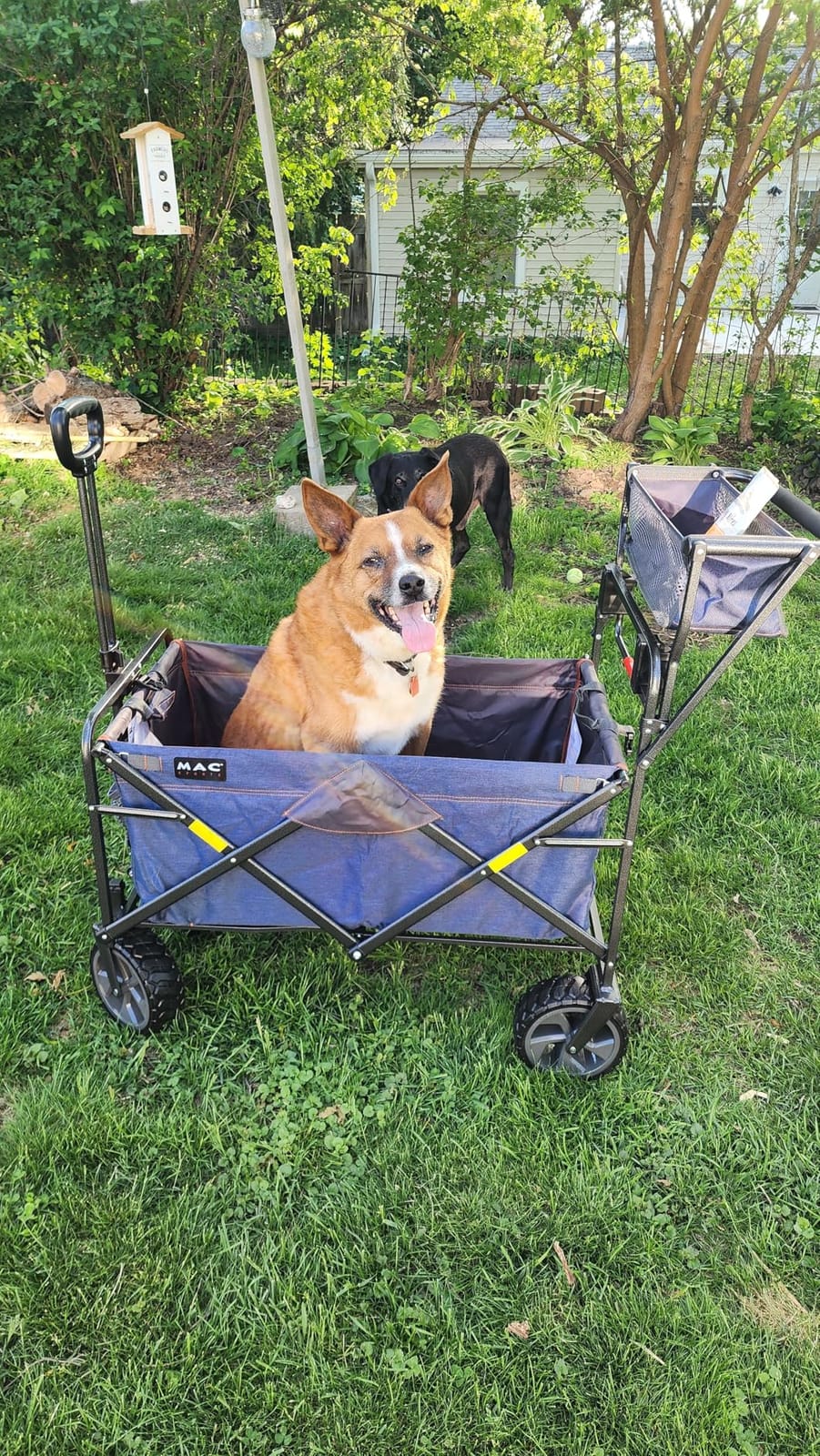 Mac Sports Push Pull Wagon customer photo 1