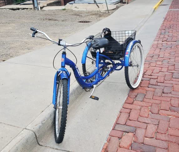 Schwinn Meridian customer photo 2