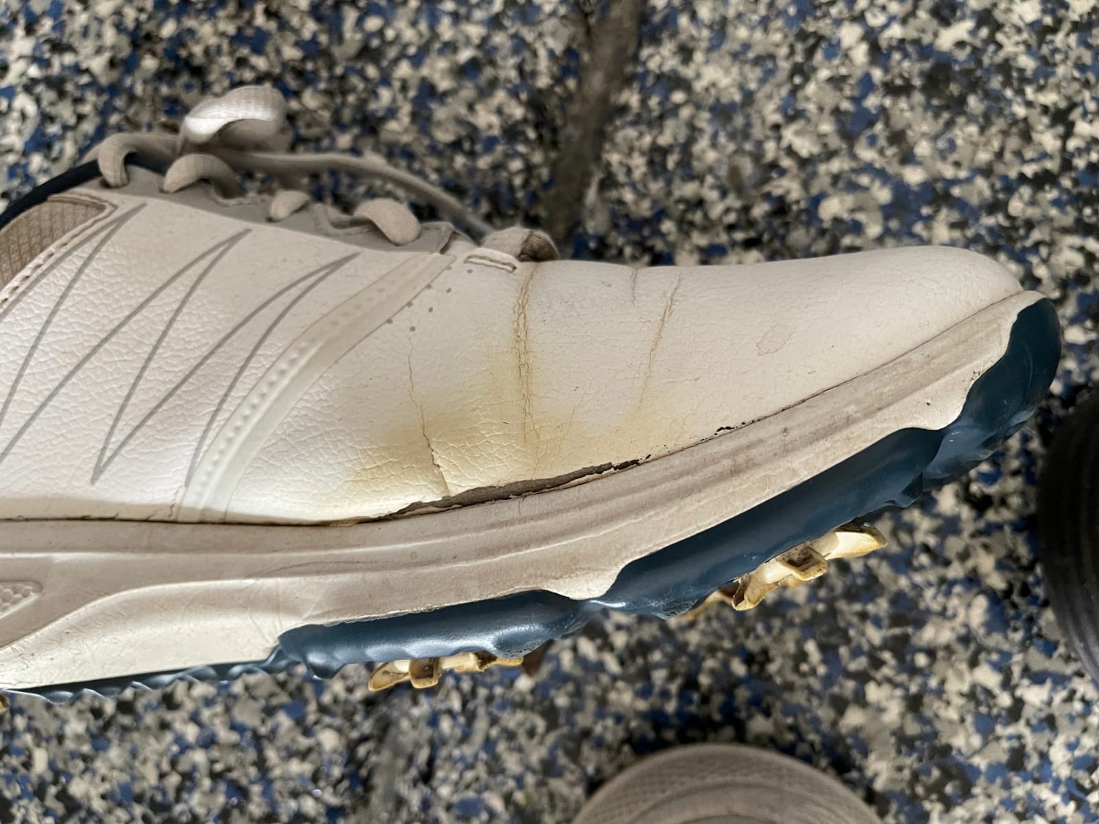 Skechers Men's Torque Waterproof Golf Shoe customer photo 1