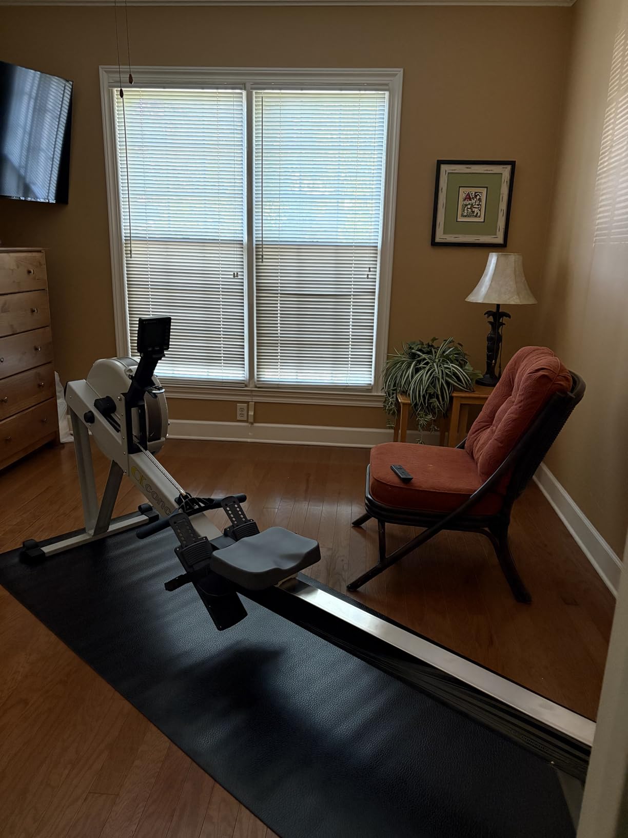 Concept2 RowErg Model D Indoor Rowing Machine with PM5 Monitor, Device Holder, Adjustable Air Resistance, Easy Storage (Gray) customer photo 1