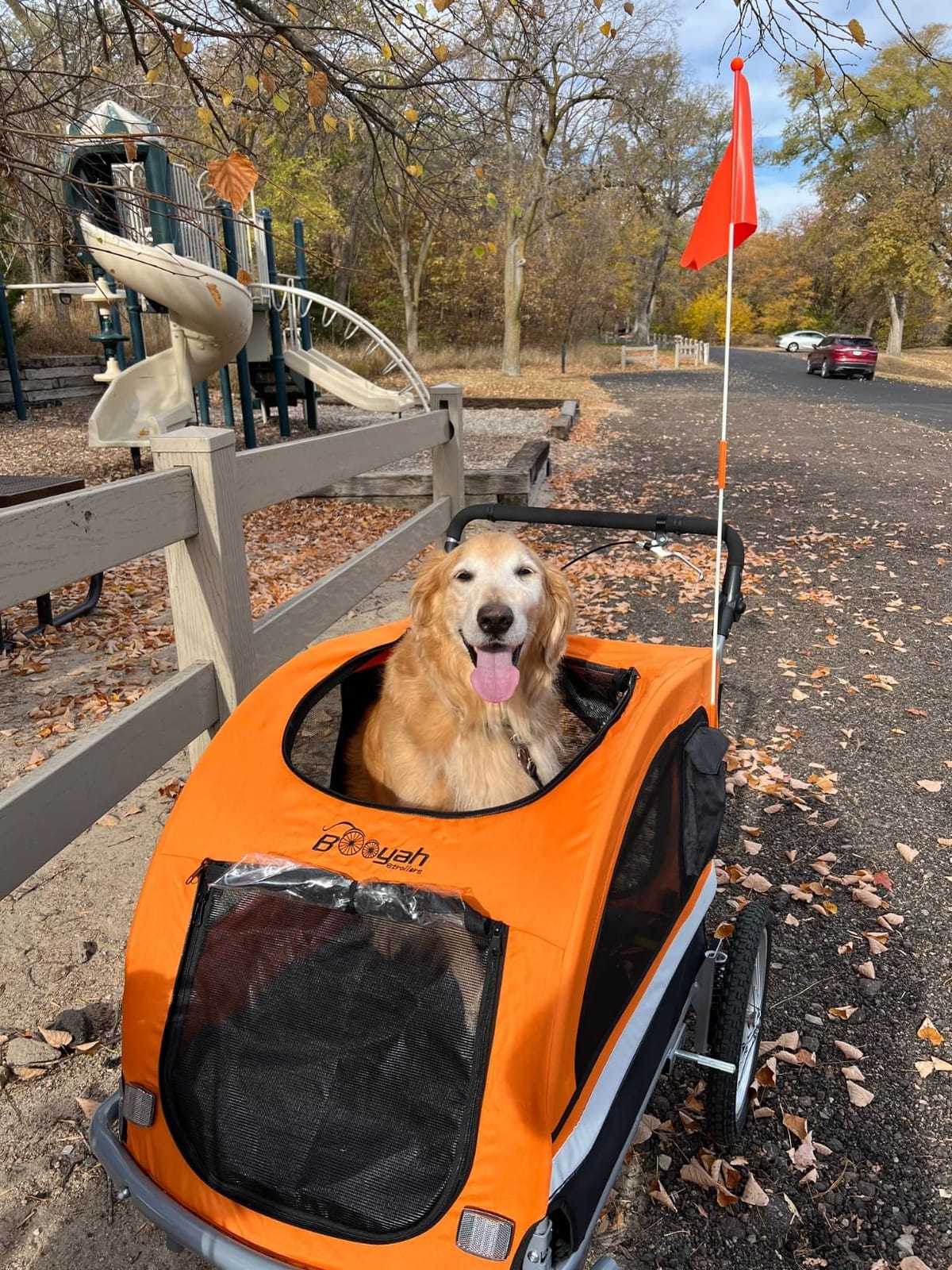 Booyah Extra Large Pet Bike Trailer Dog Stroller & Jogger with Shocks Non Tipping customer photo 1