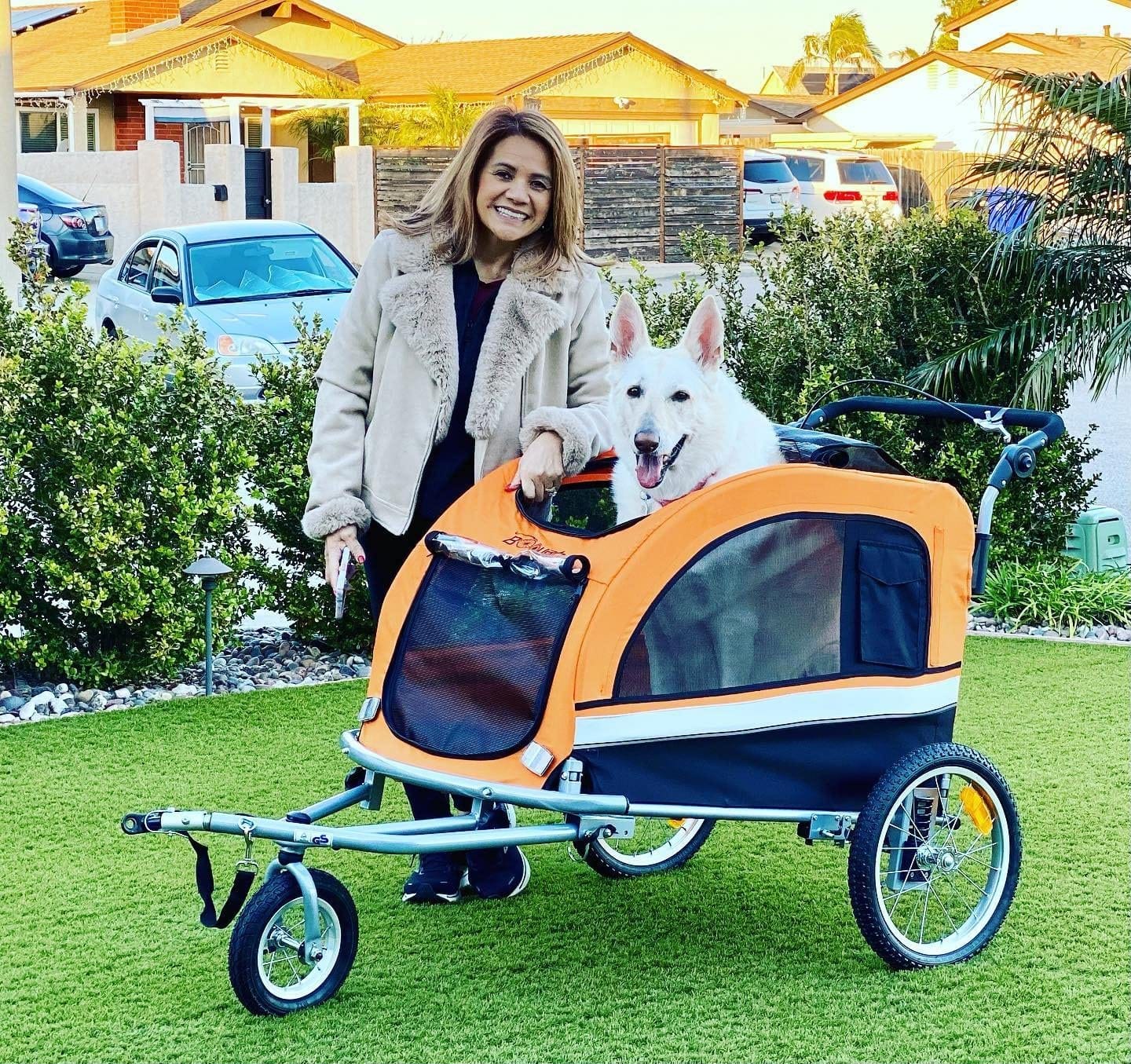 Booyah Extra Large Pet Bike Trailer Dog Stroller & Jogger with Shocks Non Tipping customer photo 2
