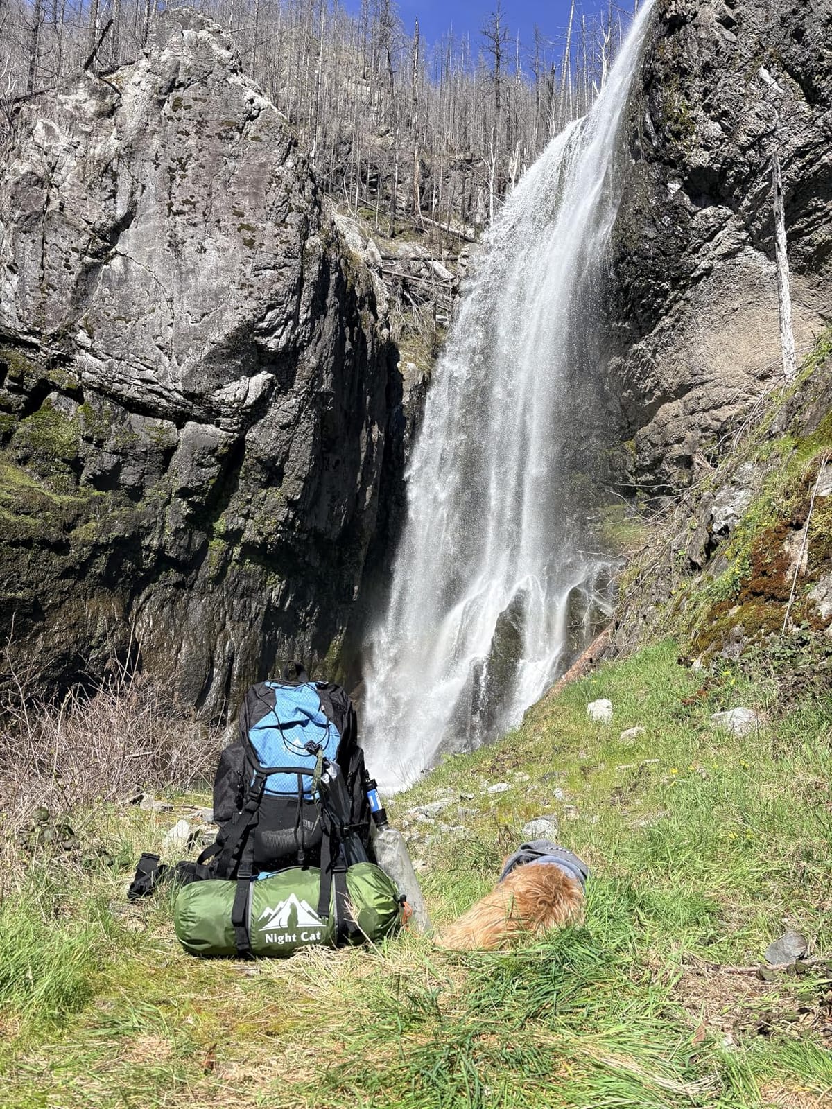 Teton 55L Scout Internal Frame Backpack for Hiking, Camping, Backpacking, Travel, Rain Cover Included, Huckleberry customer photo 2