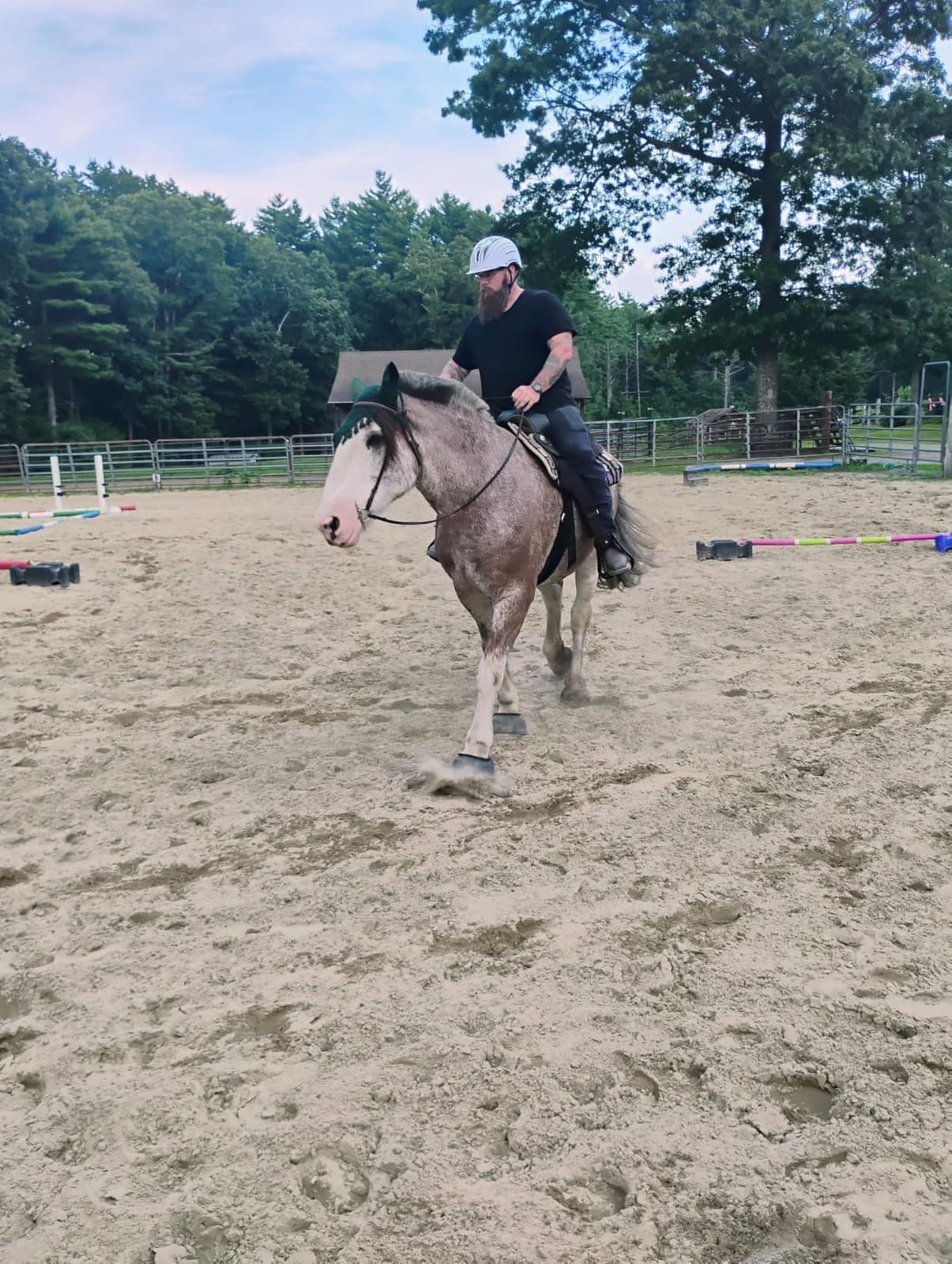 Troxel Sport 2.0 Injection Molded Horse Riding Helmet, Lightweight Adjustable Design, Safety Horseback Riding Gear customer photo 1