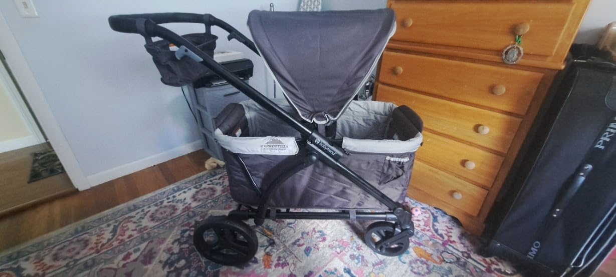 Baby Trend Expedition 2-in-1 Push/Pull Wagon with Canopy, Liberty Midnight customer photo 1