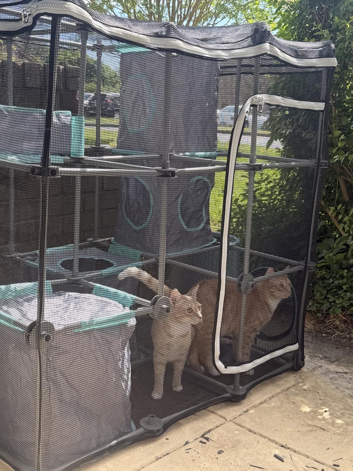 Kitty City Outdoor Catio Furniture and Play Kits for Cats, Outdoor Mega Kit customer photo 2