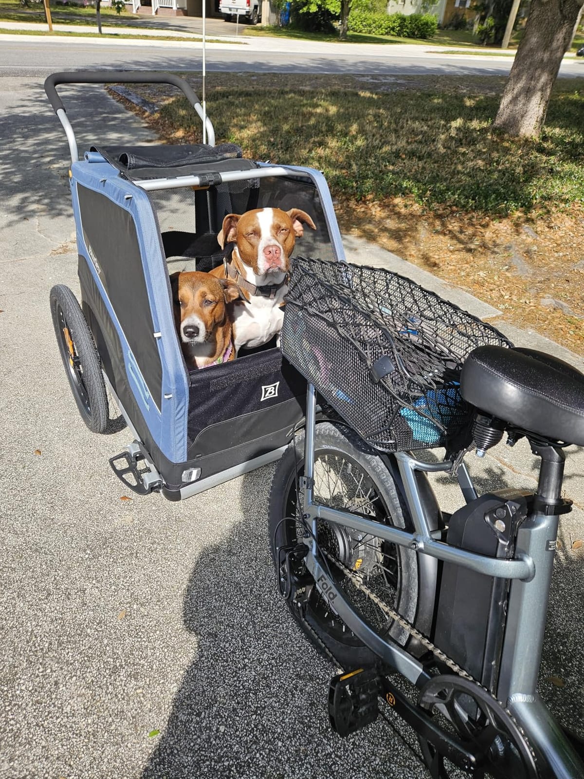 Burley Bark Ranger™ Pet Bike Trailer customer photo 1