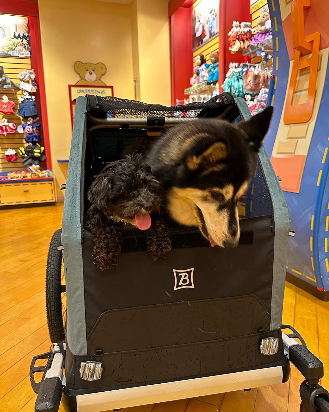 Burley Bark Ranger™ Pet Bike Trailer customer photo 2