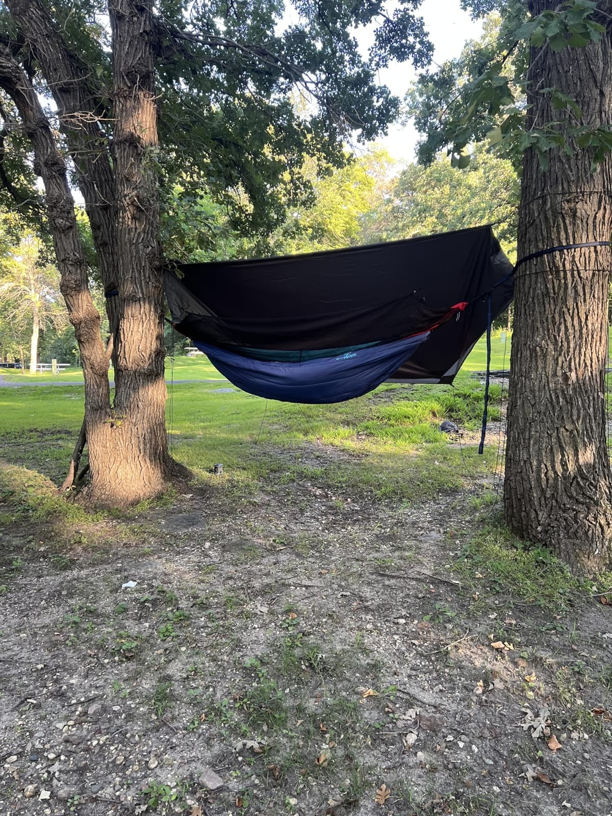 Sunyear Camping Hammock, Portable Single & Double Hammock with Net, 2 Person Hammock Tent with 2 * 10ft Straps, Best for Outdoor Hiking Survival Travel customer photo 2