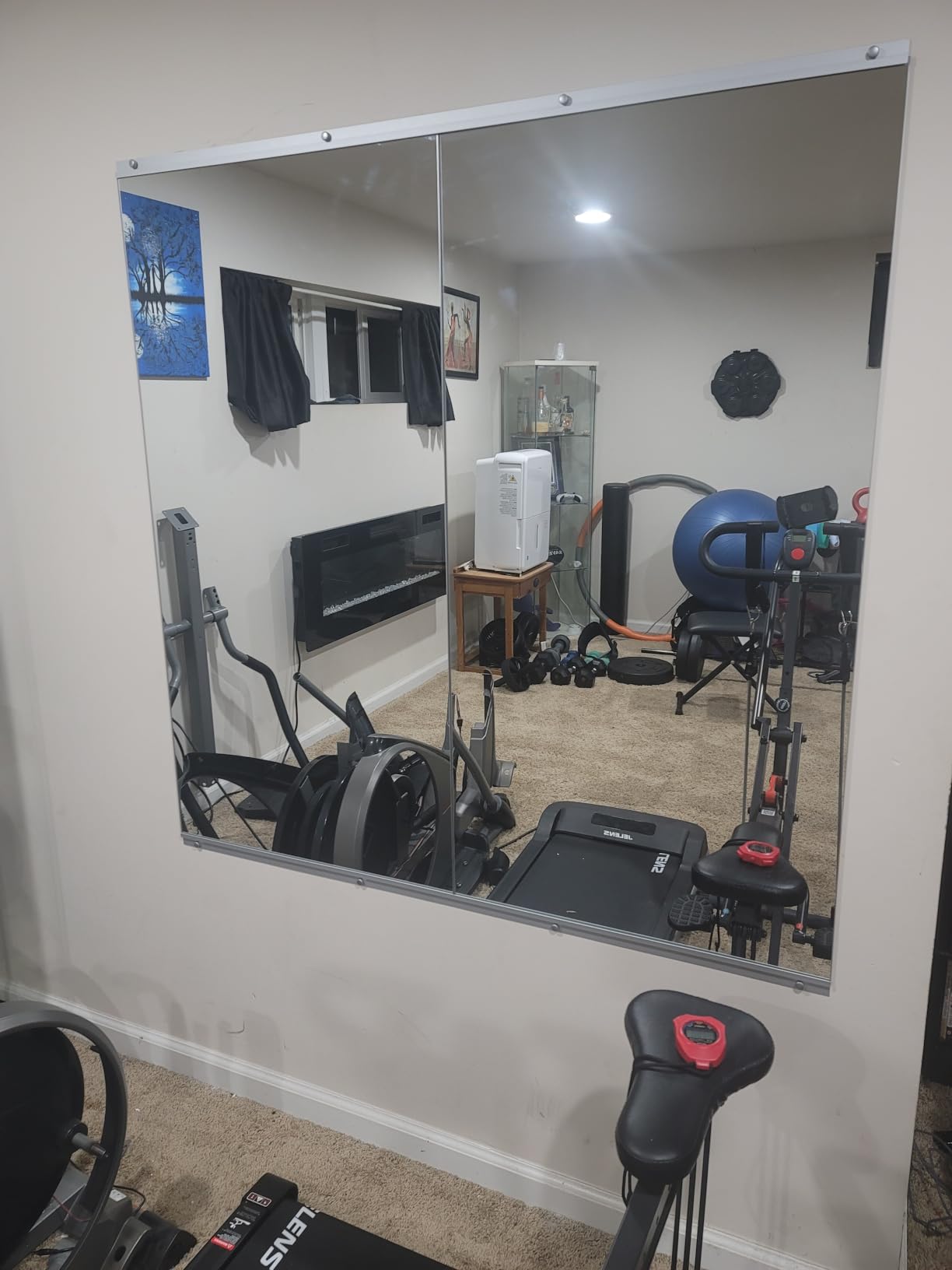 Delma Home Gym Mirror, 48