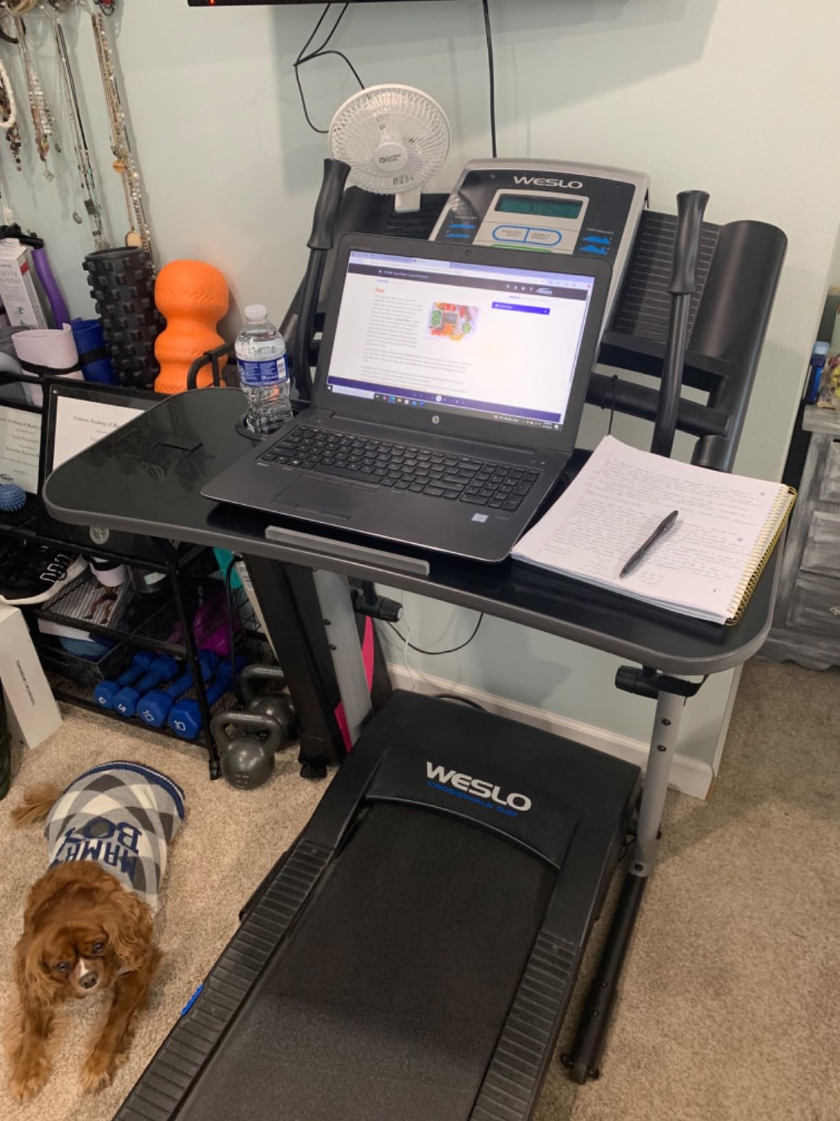 Treadmill Desk Attachment, 36 Inches Tread Tray Workstation Handlebars Platform with Laptop Holder, Cup Tablet Holder, Ergonomic Stand with Cooling Holes(Black) customer photo 1