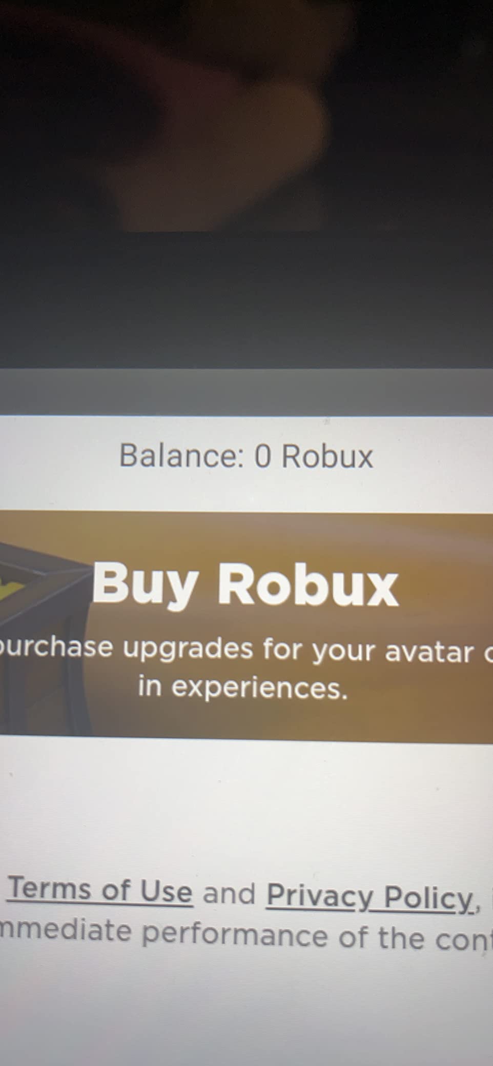 Roblox Digital Gift Card - 4,000 Robux [Includes Exclusive Virtual Item] [Digital Code] customer photo 1