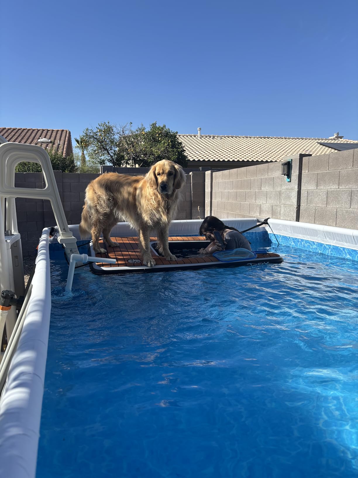 DOK Dog-DOK Inflatable Dock Platform: Safe & Easy Water Access for Dogs Up to 250 lbs; Floating Non-Slip EVA Foam with Dog Boat Ramp for Pool, Dock, & Lake | Military Grade & High Visibility customer photo 2