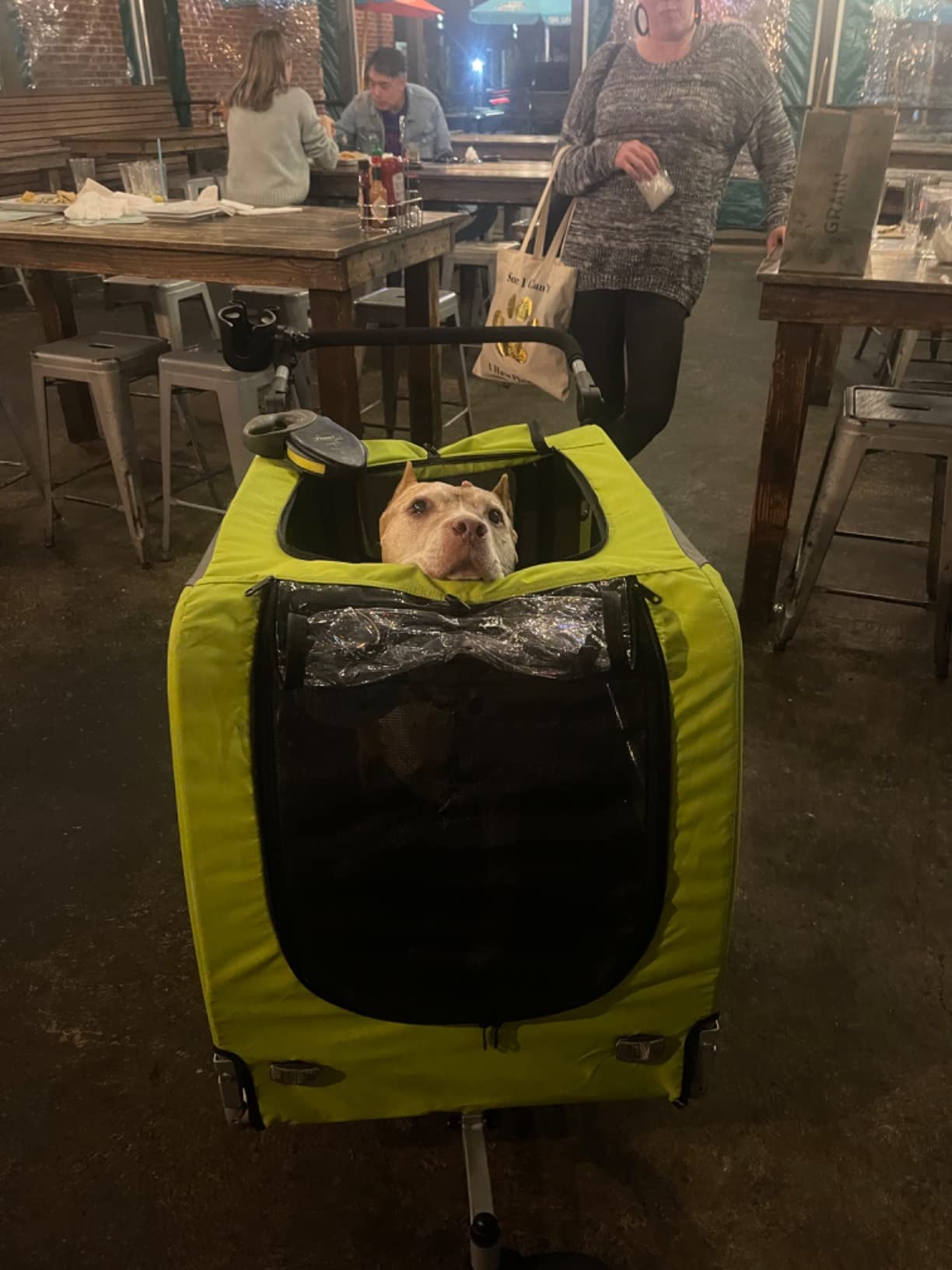 DOGGYHUT Premium X Large Pet Bike Trailer Up to 100 lbs (Gray) customer photo 1