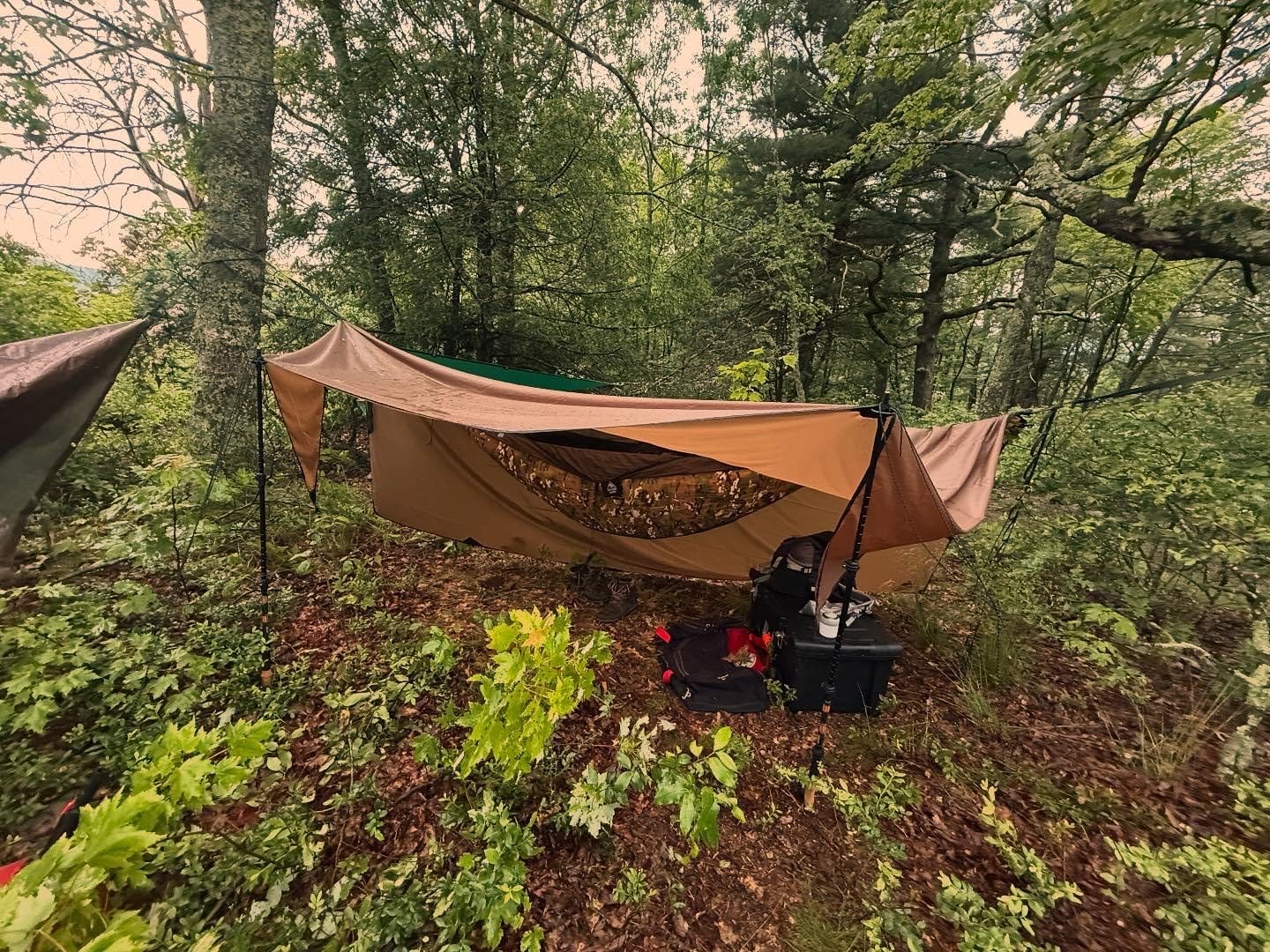 OneTigris KOMPOUND Camping Hammock with Net, Lightweight Portable Hammock with Warm Internal Cover & Tree Friendly Straps for Backpacking, Camping, Hiking, Travel, Beach, Backyard customer photo 1