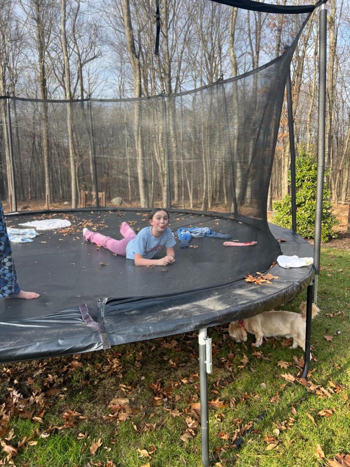 DeepRoar 2026 Upgraded 8FT 10FT 12FT 14FT 15FT 16FT Outdoor Trampoline for Kids, Big Trampoline with Basketball Hoop, Lights, Sprinkler & Socks, Heavy Duty Trampoline 1500LB, ASTM Approved Tranpoing customer photo 1