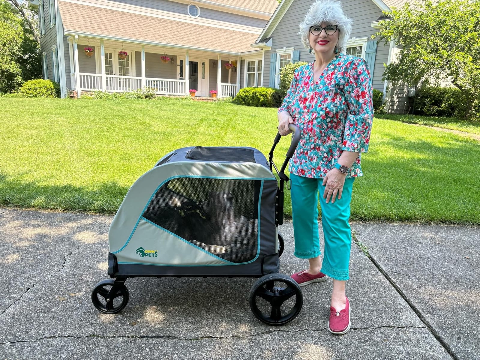 Ownpets Extra Large Dog Stroller for Large Breeds, 154 lbs Capacity, Black | Low 12