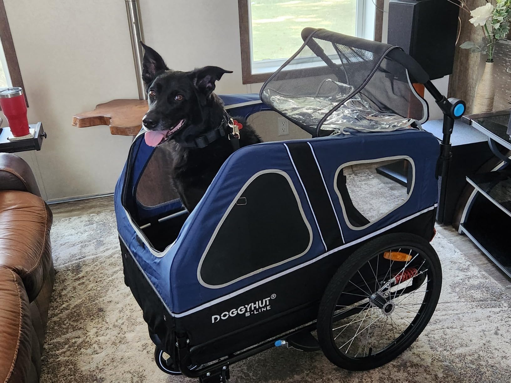 DOGGYHUT S-Line XL Pet Bike Trailer & Stroller for Large Dogs Up to 100 lbs customer photo 1