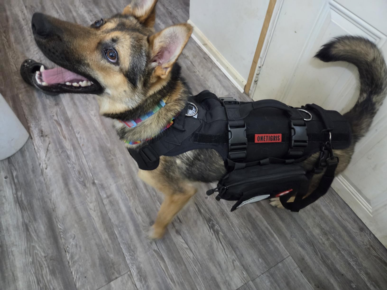 OneTigris Dog Lift Harness for Large Dogs, Dog Hip Support Brace, Full Body Dogs Lifter with Handles Invictus Multifunctional Mobility Assistance Vest for Back Legs (Black, Medium) customer photo 2