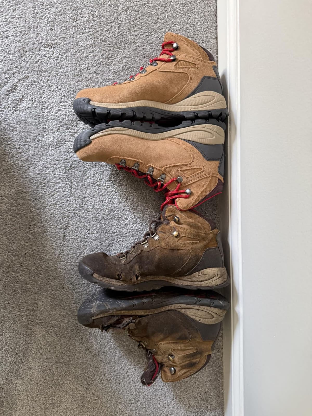 Columbia Women's Newton Ridge Plus Waterproof Amped Hiking Boot customer photo 1