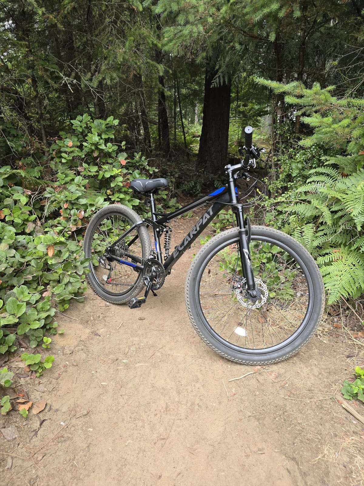 Ecarpat Mountain Bike 24 26 Inch, Dual Full Suspension Mens Womens Bike, 21 Speeds Dual Disc Brake Carbon Steel Bike customer photo 2