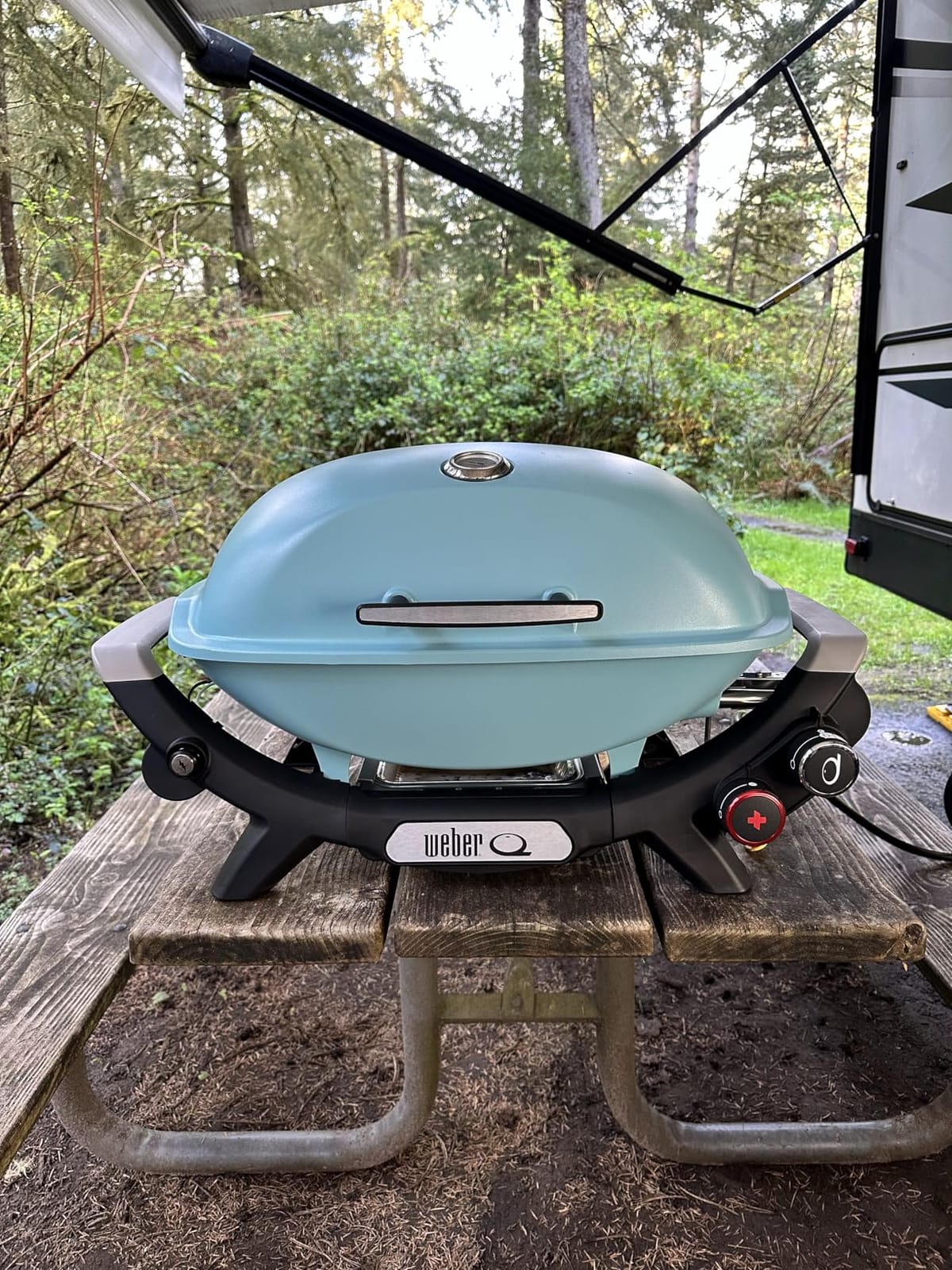 Weber Q 2800N+ Portable Gas Grill customer photo 2