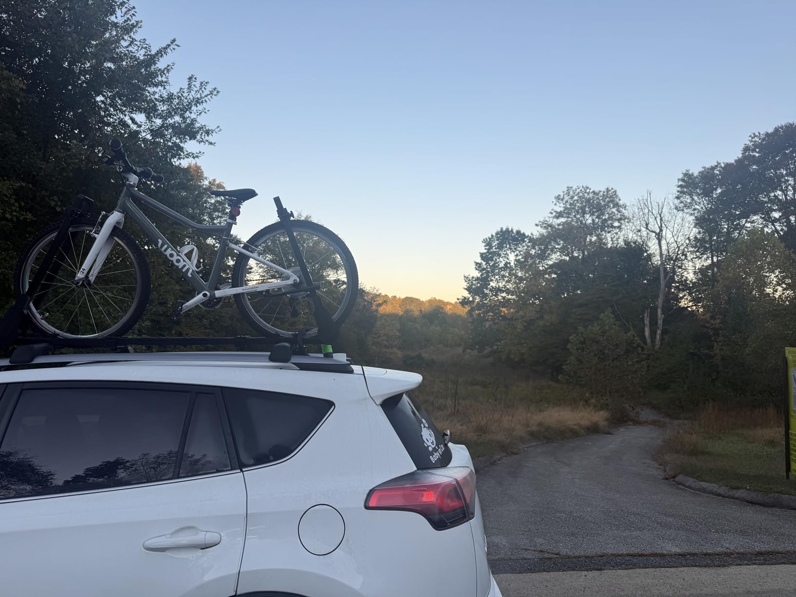 Roof Bike Rack, Upright Dual-Arm Rooftop Bike Carrier for Car SUV customer photo 2