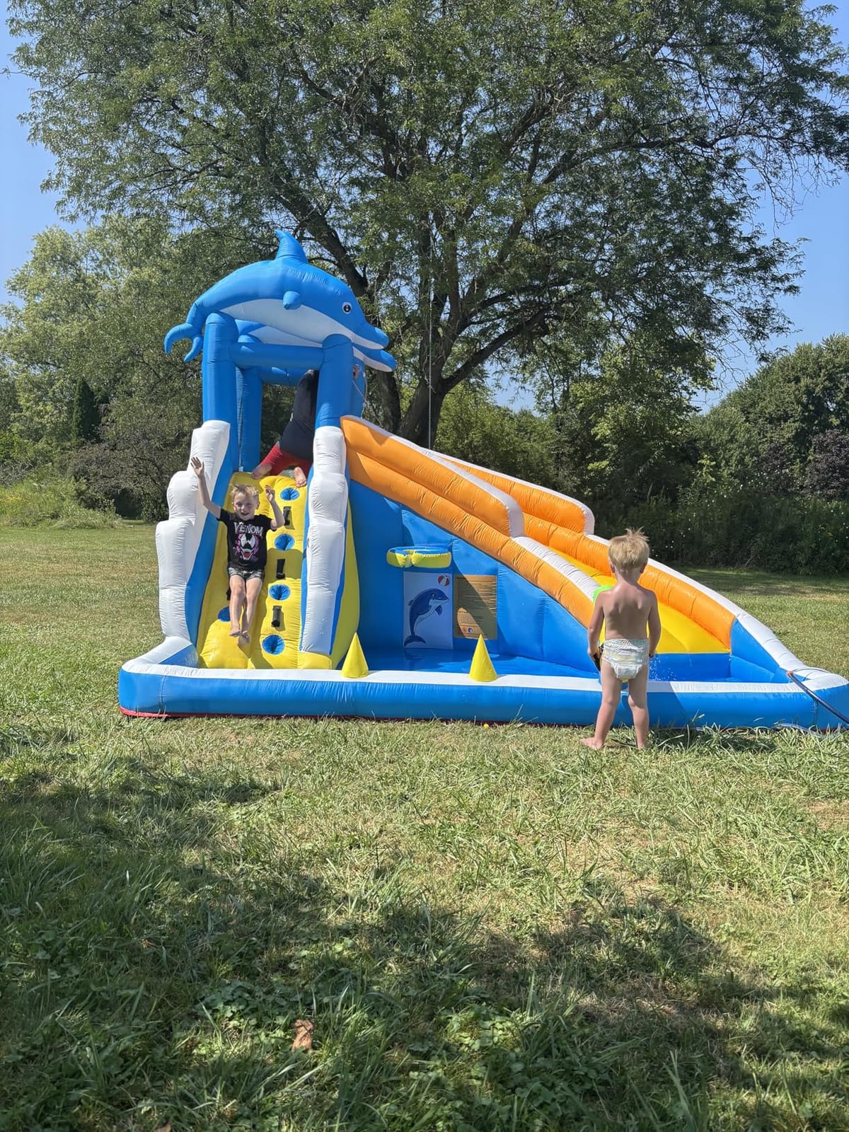 TOAOB Inflatable Water Slide, 5 in 1 Dolphin Inflatable Bounce House for Kids - Climbing Wall Splash Pool Water Cannon Basketball Rim - 480W Blower - for Indoor Outdoor Backyard Birthday Party customer photo 2