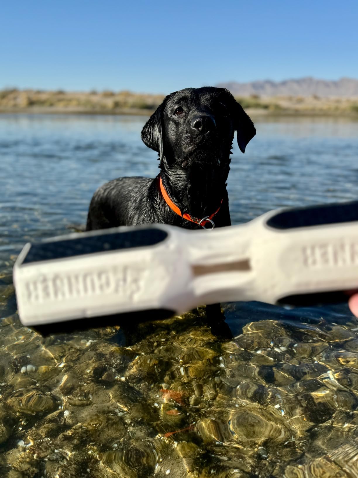 GUNNER Dog Training Bumper, Orange Retriever Dummy with Adjustable Rope | Orange Dog Training Bumper, Floating DuraTrieve Retriever Dummy, Adjustable Rope, Scent Cavity, Vented and Tapered Design customer photo 1