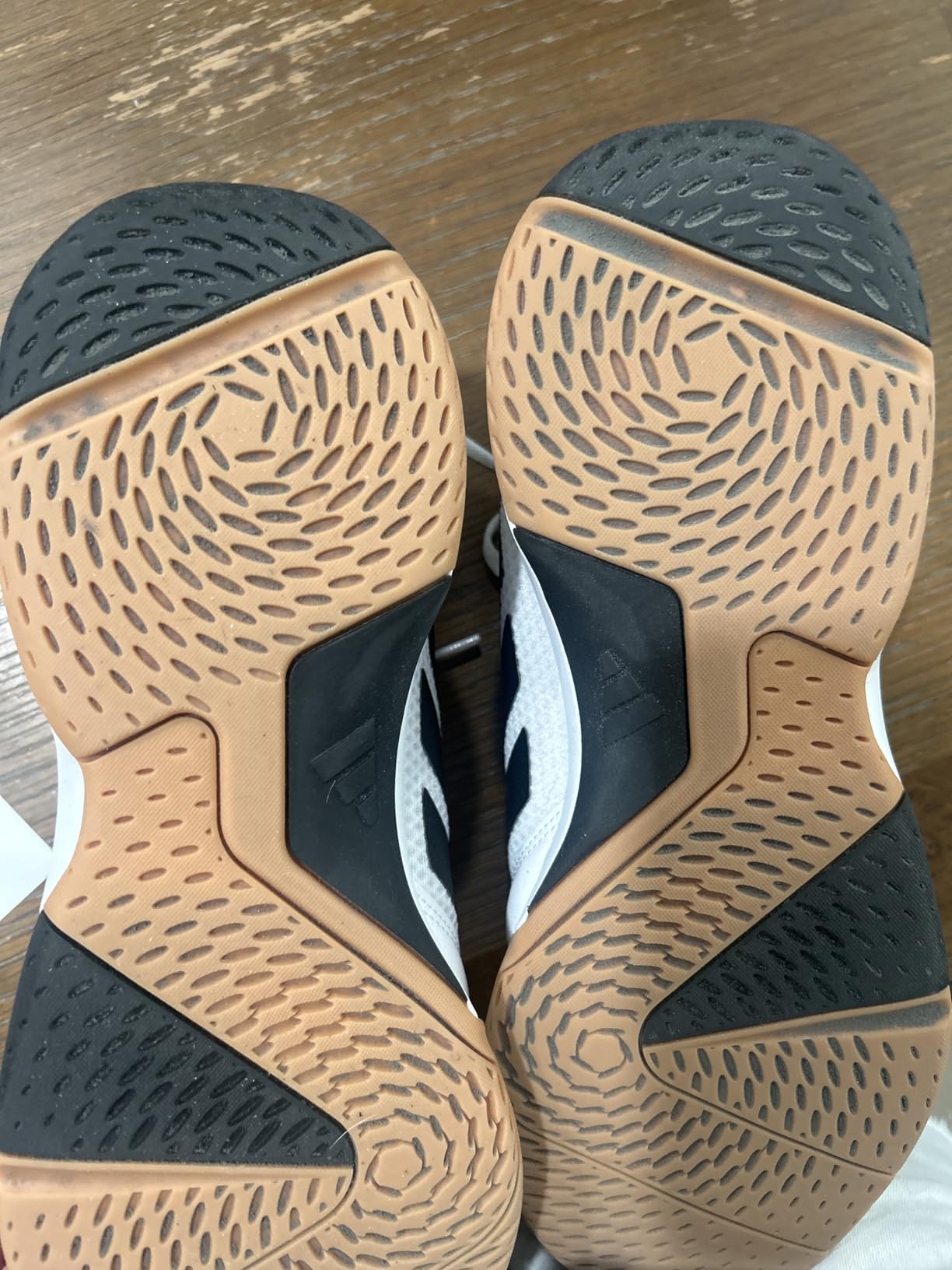 adidas Men's Ligra 8 Indoor Volleyball Shoes customer photo 1