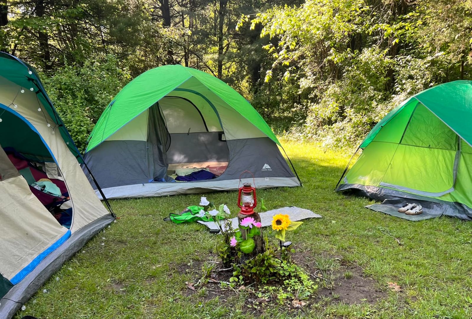 Coleman Sundome Camping Tent with Rainfly, 2/3/4/6 Person Tent Sets Up in 10 Mins, Weatherproof Shelter for Camping, Festivals, Backyard, Sleepovers, & More customer photo 1