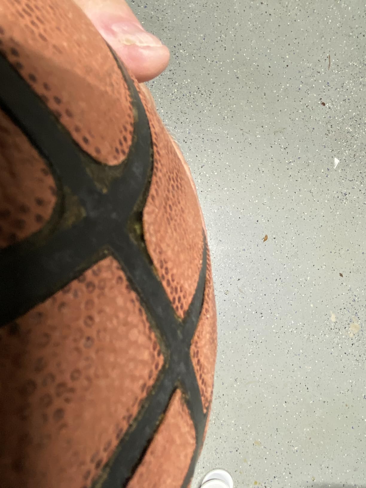 WILSON NBA Forge Indoor/Outdoor Basketball - Brown, Size 7-29.5