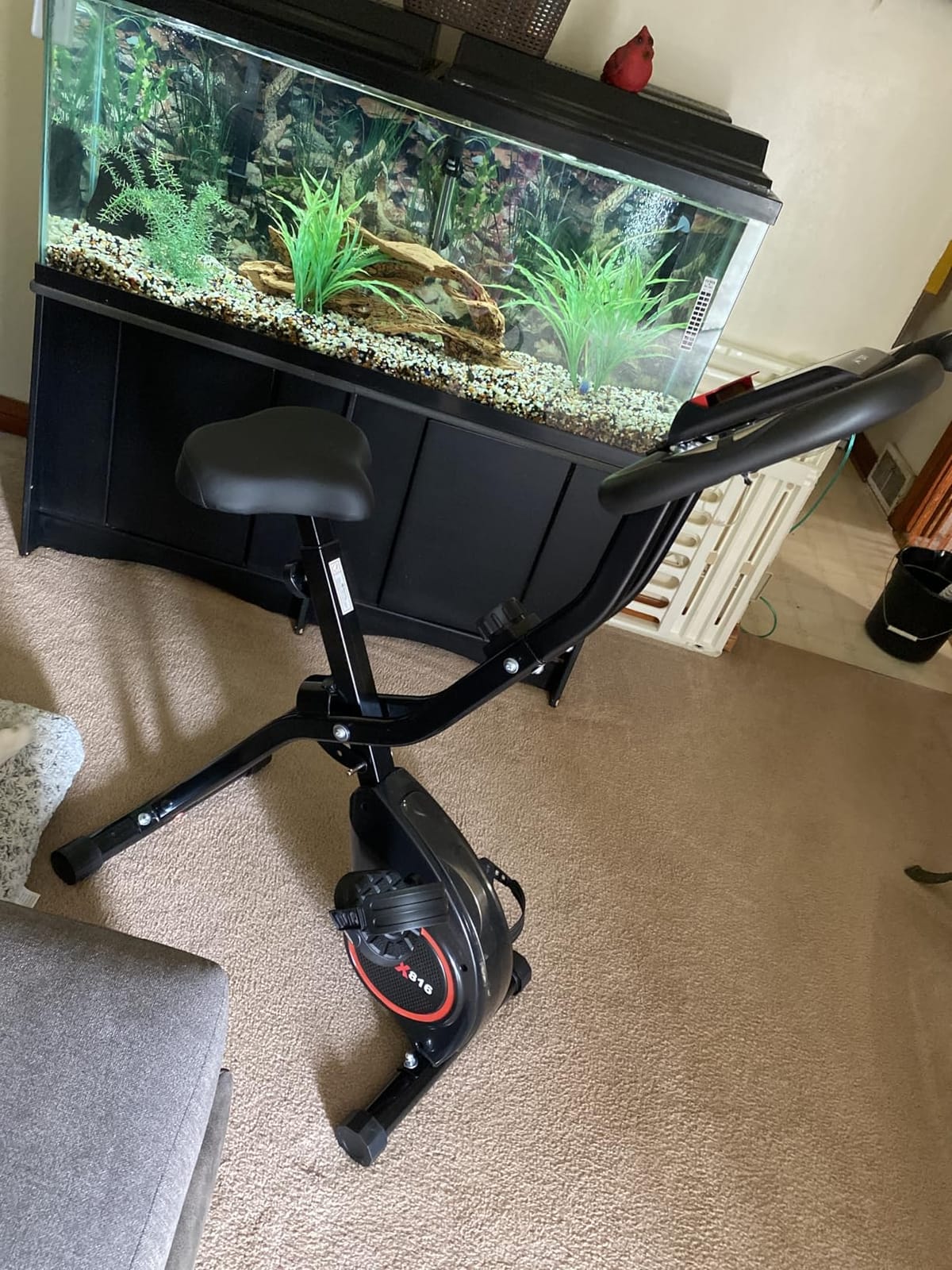 Lightweight 33LB Foldable Exercise Bike for Small Apartments, Stationary Bikes for Home Workout, Indoor Portable Cycling Bike with 16-Level Magnetic Resistance, 260LBS Capacity, 5.5 LBS Flywheel customer photo 2