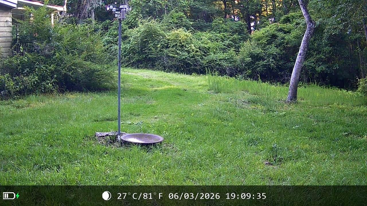 MAXDONE Solar Trail Camera WiFi Bluetooth, 4K 64MP Night Vision Game Camera | Built-in 6000mAh Rechargeable Battery, 0.1s Trigger, IP66 Waterproof Trail Cam with 32GB SD Card for Outdoor Backyard customer photo 2