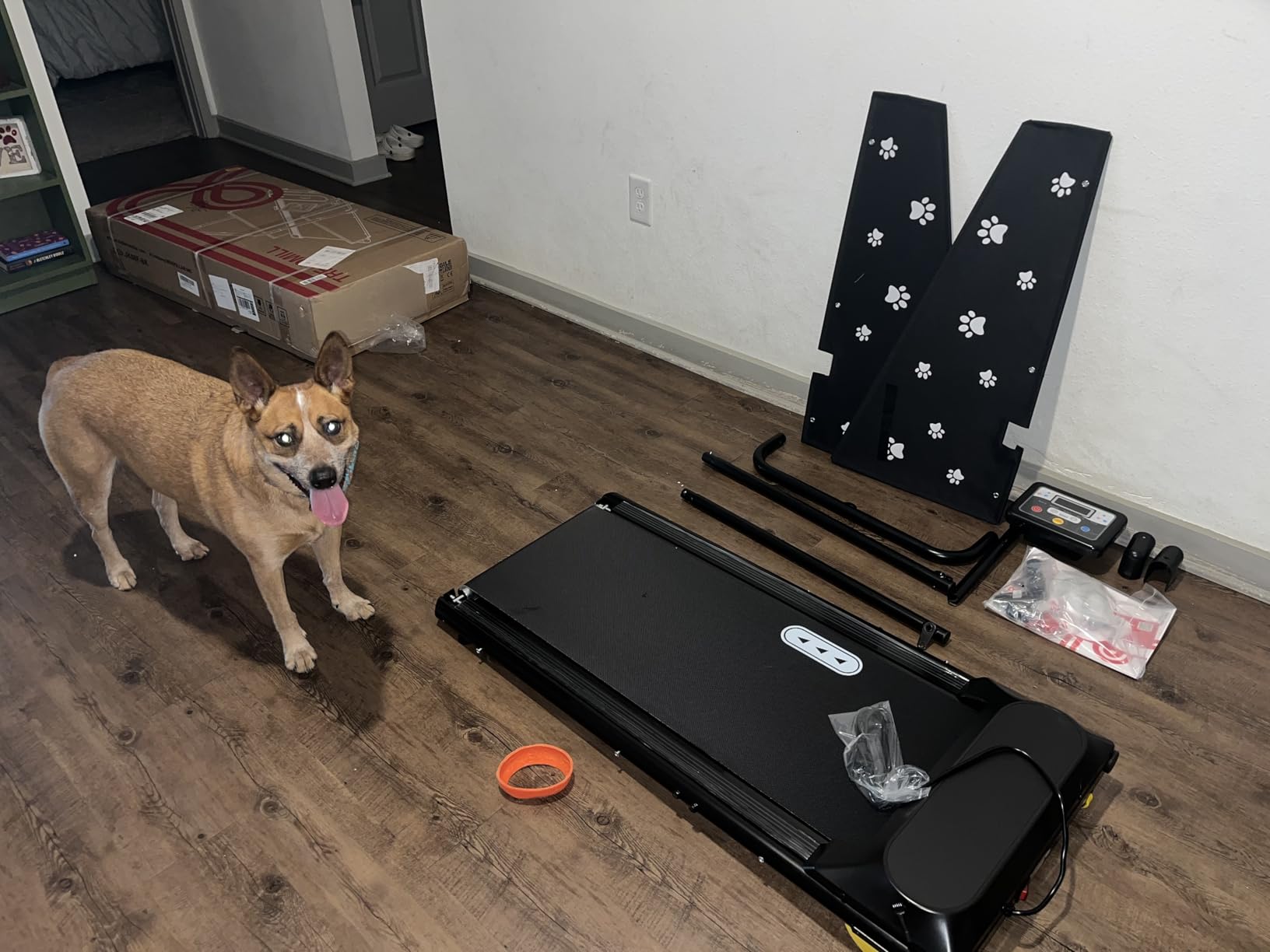 CIIHI Dog Treadmill for Medium Small Dogs - 265lbs Weight Capacity Pet Running Machine with 360° Rotatable Display - 2 in 1 Treadmill for Pet Fitness with Move Wheels and Remote Control customer photo 1