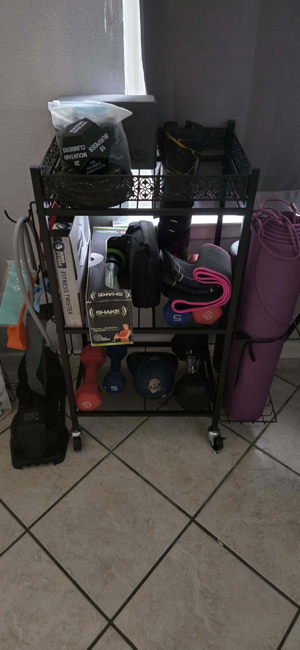 Multi-Functional Home Gym Storage Rack with Wheels and Hooks, Space Saving, All-in-One Gym Equipment Storage for Dumbbells Kettlebells Yoga Mat customer photo 1