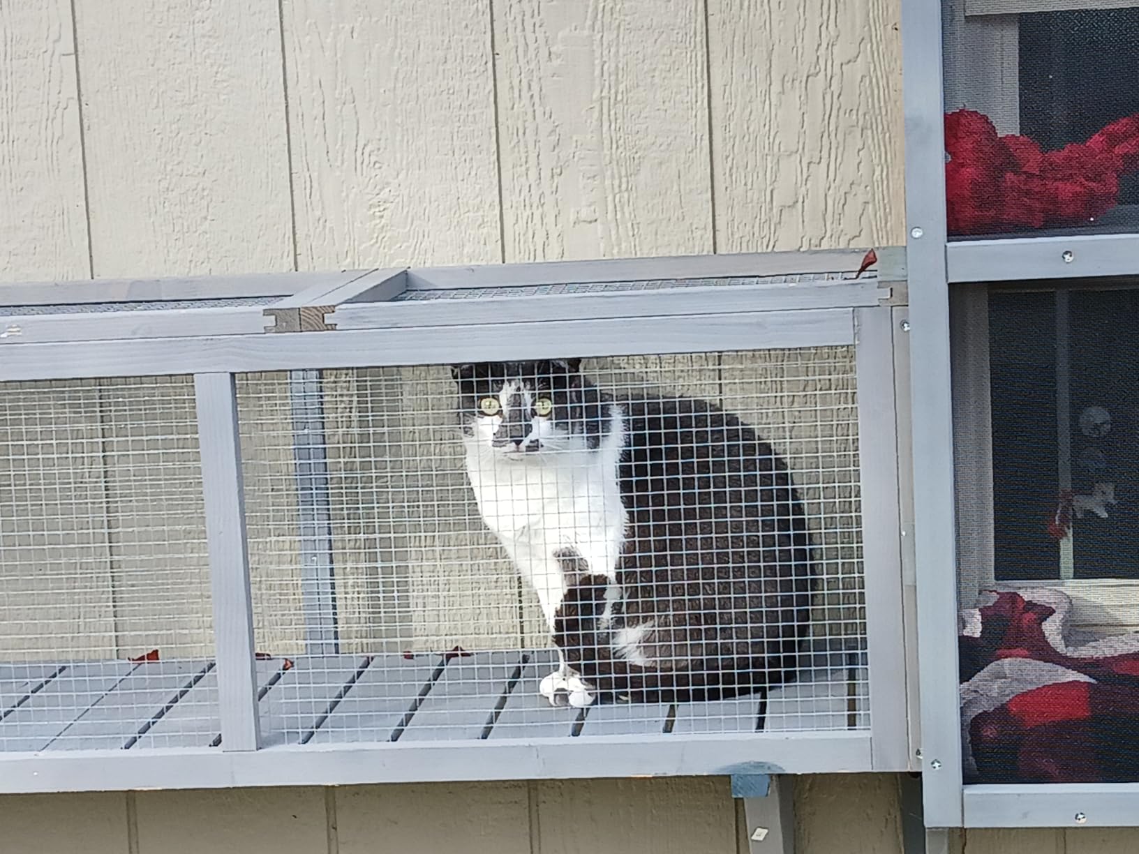 beeNbkks Bug Proof Window Catio, Expandable Outdoor Cat Enclosure | Weatherproof Wooden Cat Window Perch House with Fine Metal Mesh customer photo 1