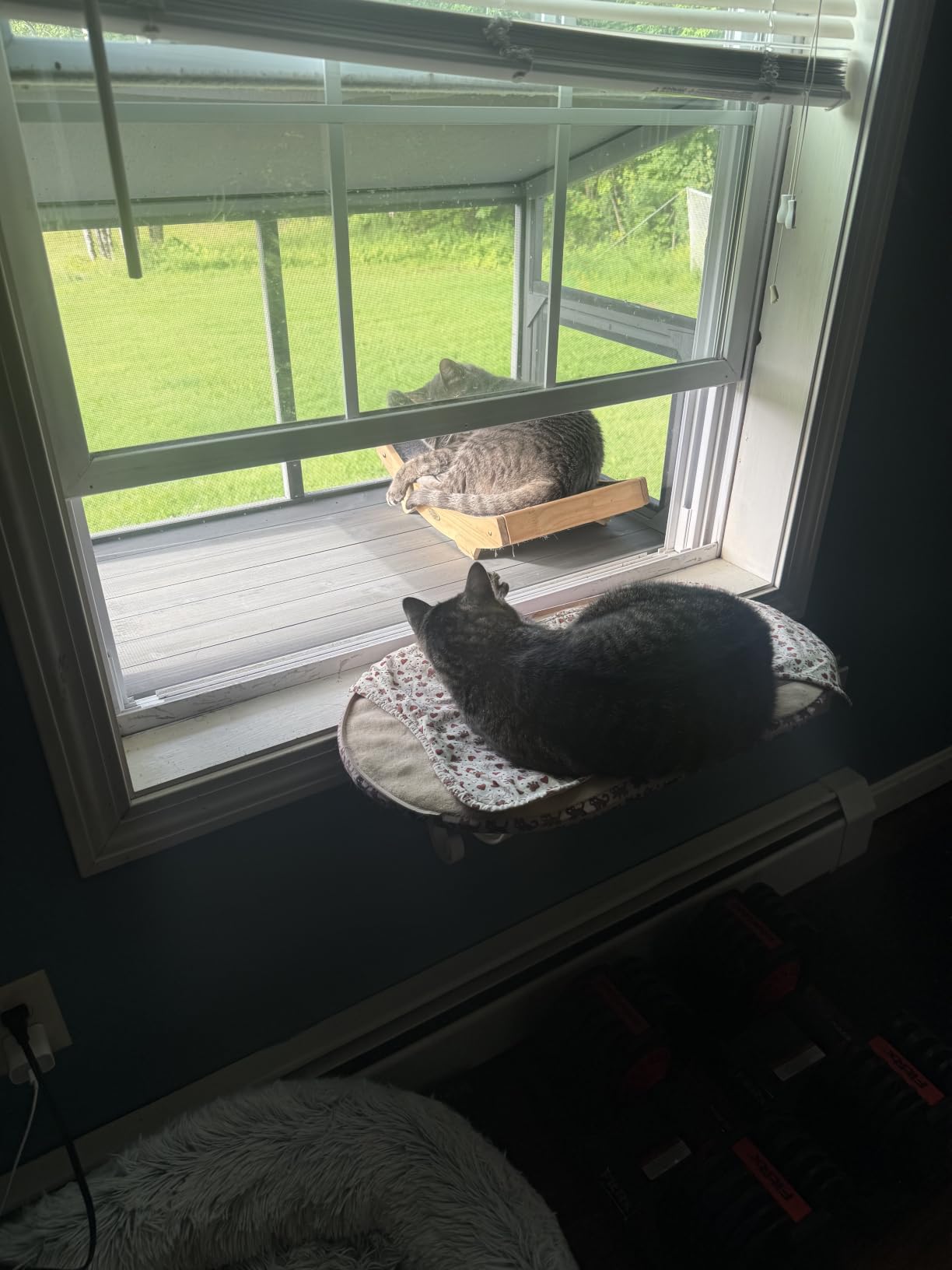 beeNbkks Bug Proof Window Catio, Expandable Outdoor Cat Enclosure | Weatherproof Wooden Cat Window Perch House with Fine Metal Mesh customer photo 2