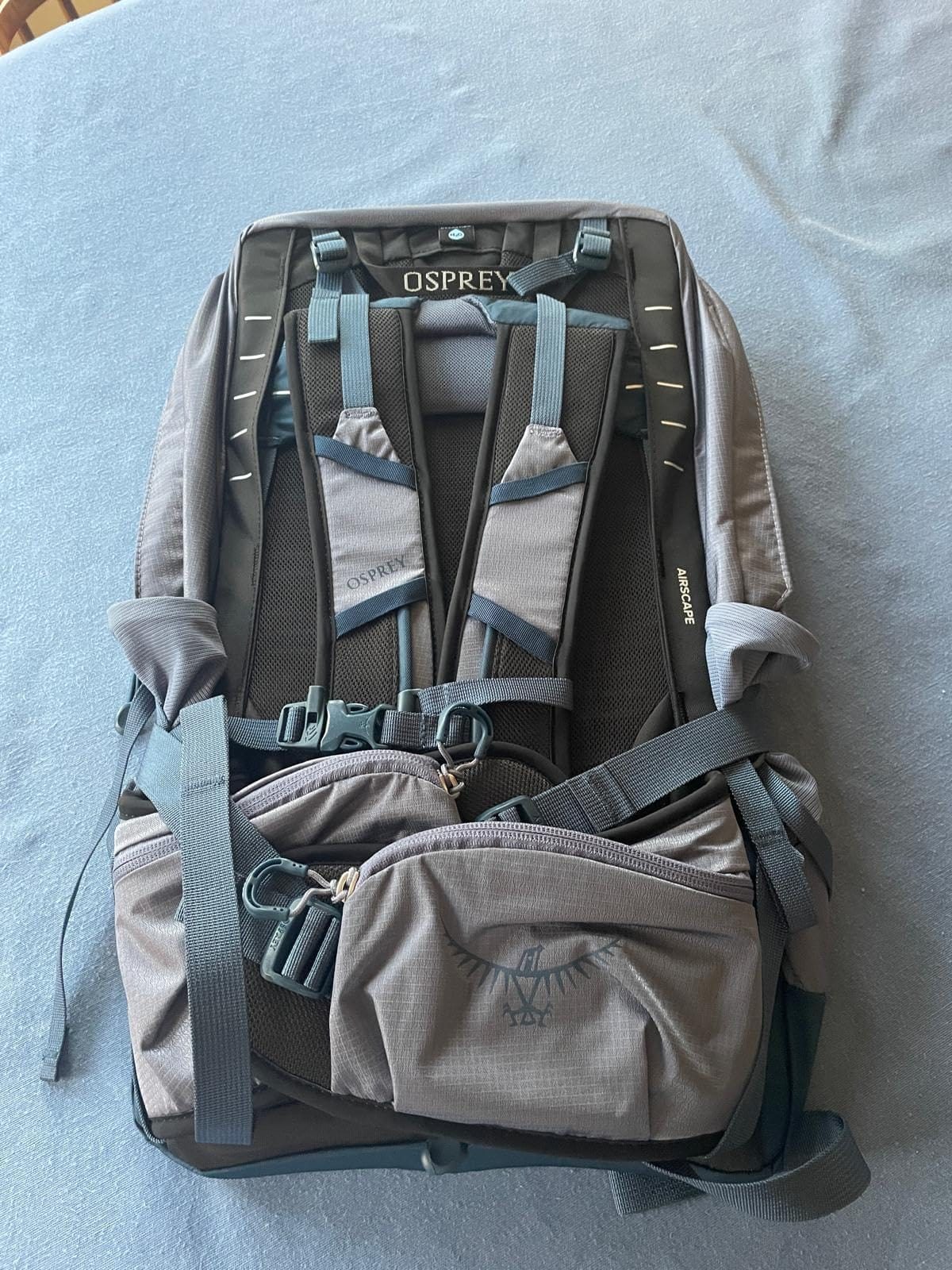 Osprey Tempest 22L Women's Lightweight Hiking Backpack, Green OS | daypack, travel daypack, camping pack customer photo 1