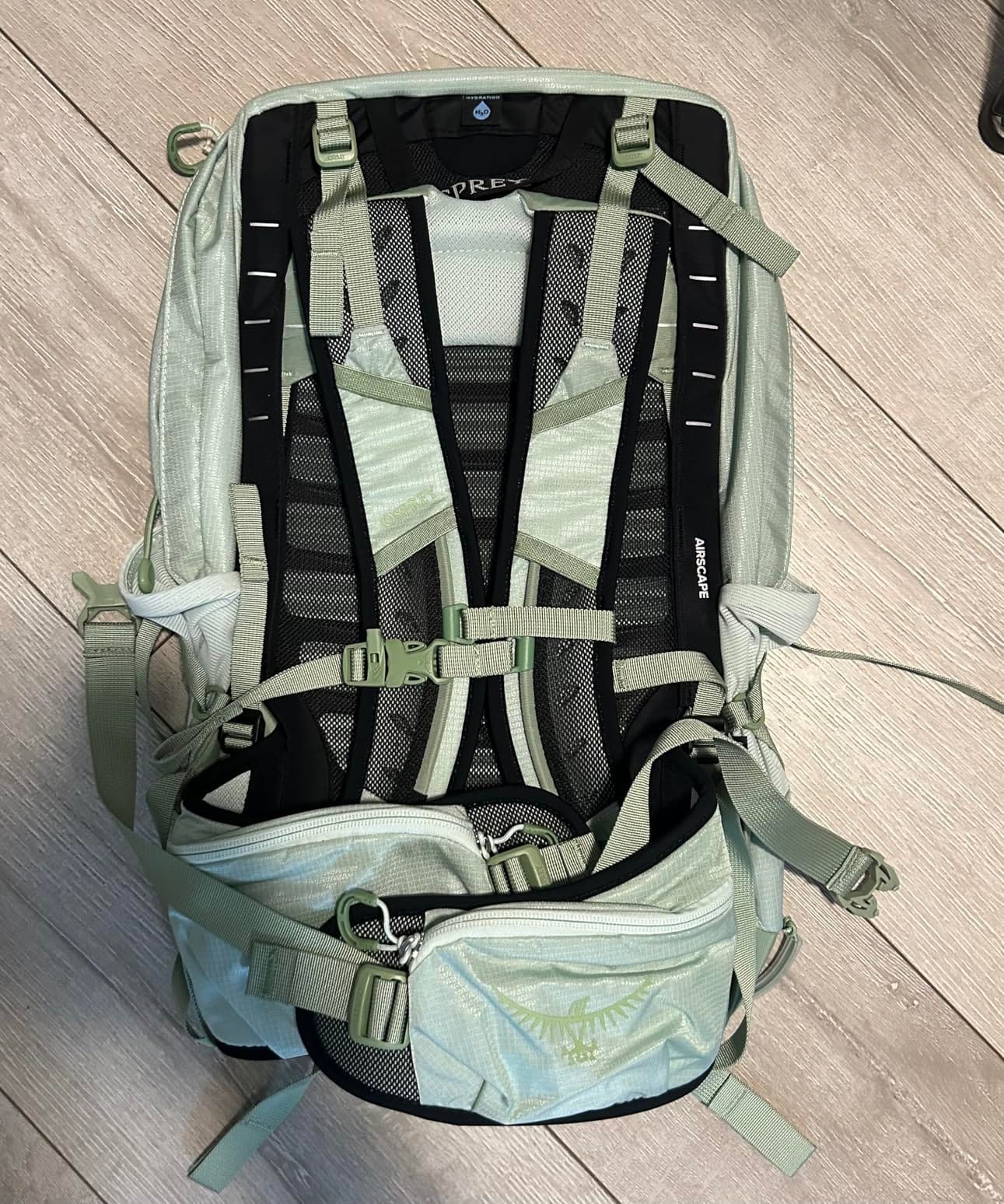 Osprey Tempest 22L Women's Lightweight Hiking Backpack, Green OS | daypack, travel daypack, camping pack customer photo 2