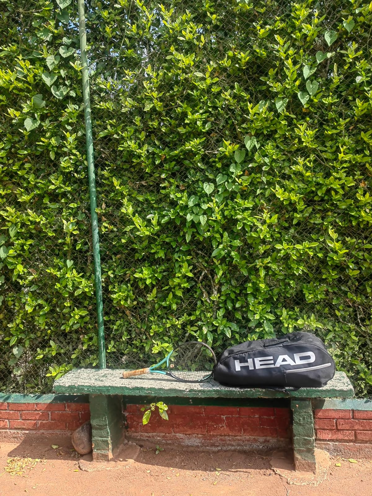 HEAD Base Racquet Bag M (6R) Tennis Bag customer photo 1