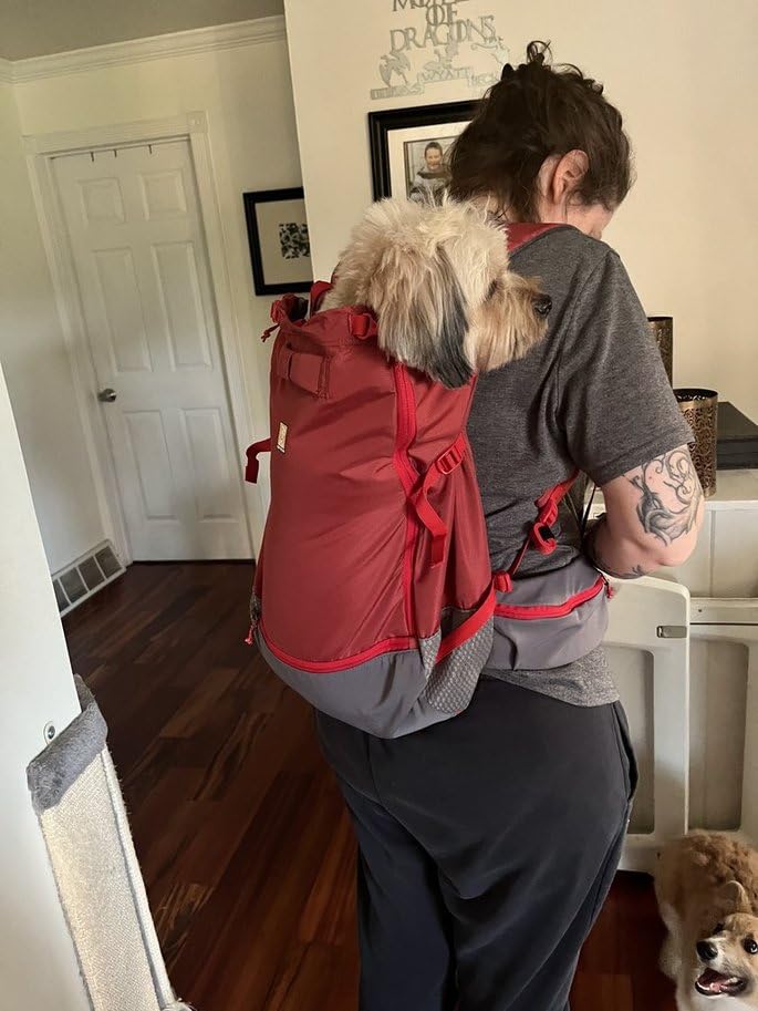 Ruffwear, Hitch Hiker Dog Backpack Carrier, Hands-Free Dog Carrier Backpack with Breathable Mesh, EVA Foam Padding, Durable Polyester, Lightweight Design for Small Dogs, Basalt Gray, X-Small customer photo 1
