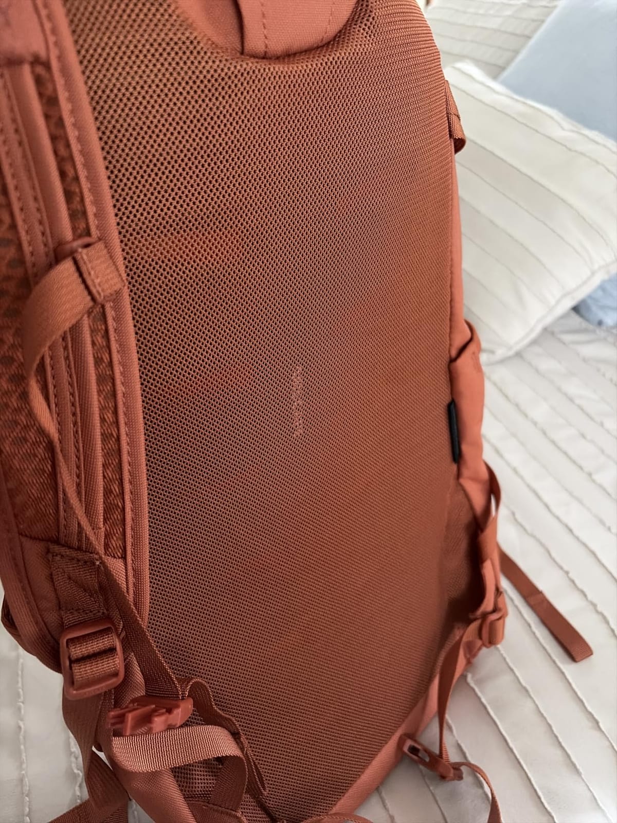 Osprey Daylite Plus Commuter Backpack, Green OS | everyday bag, campus pack, laptop carry customer photo 1