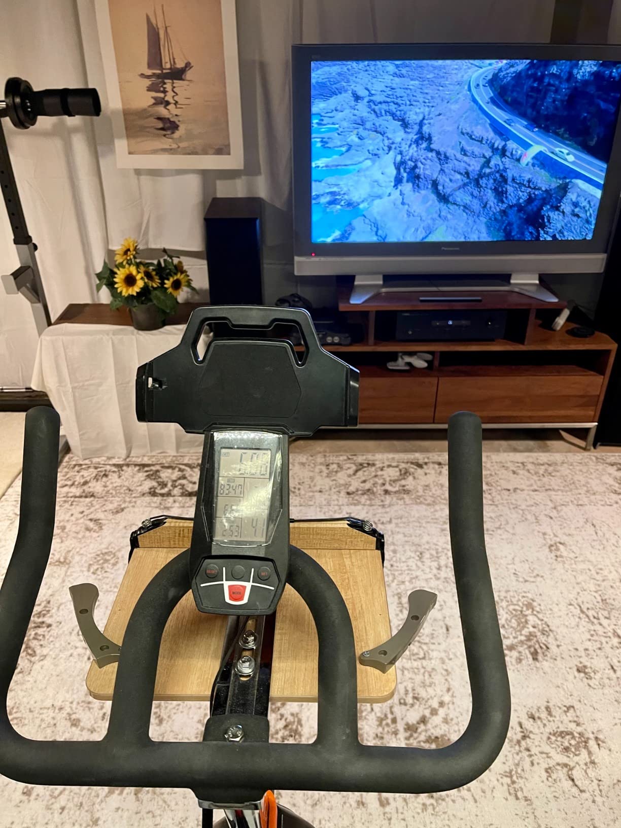 YOSUDA PRO Magnetic Exercise Bike 350 lbs Weight Capacity | Indoor Cycling Bike Stationary with Comfortable Seat Cushion, Silent Belt Drive customer photo 1