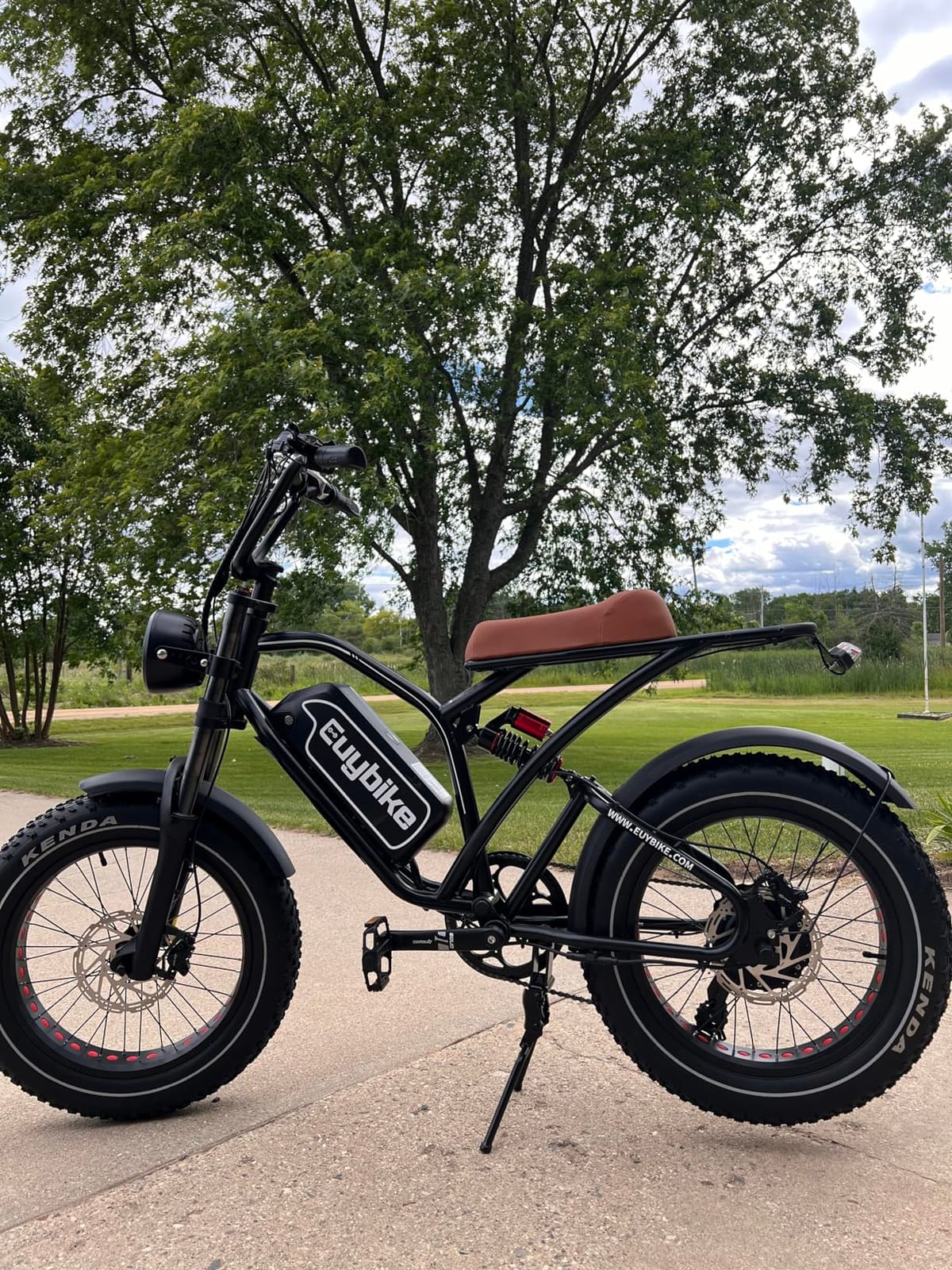 EUY 1500W Peak Electric Bike for Adults, 48V 20Ah Removable Battery Max Range 80Miles & 30MPH Electric Bicycle, 20''×4.0